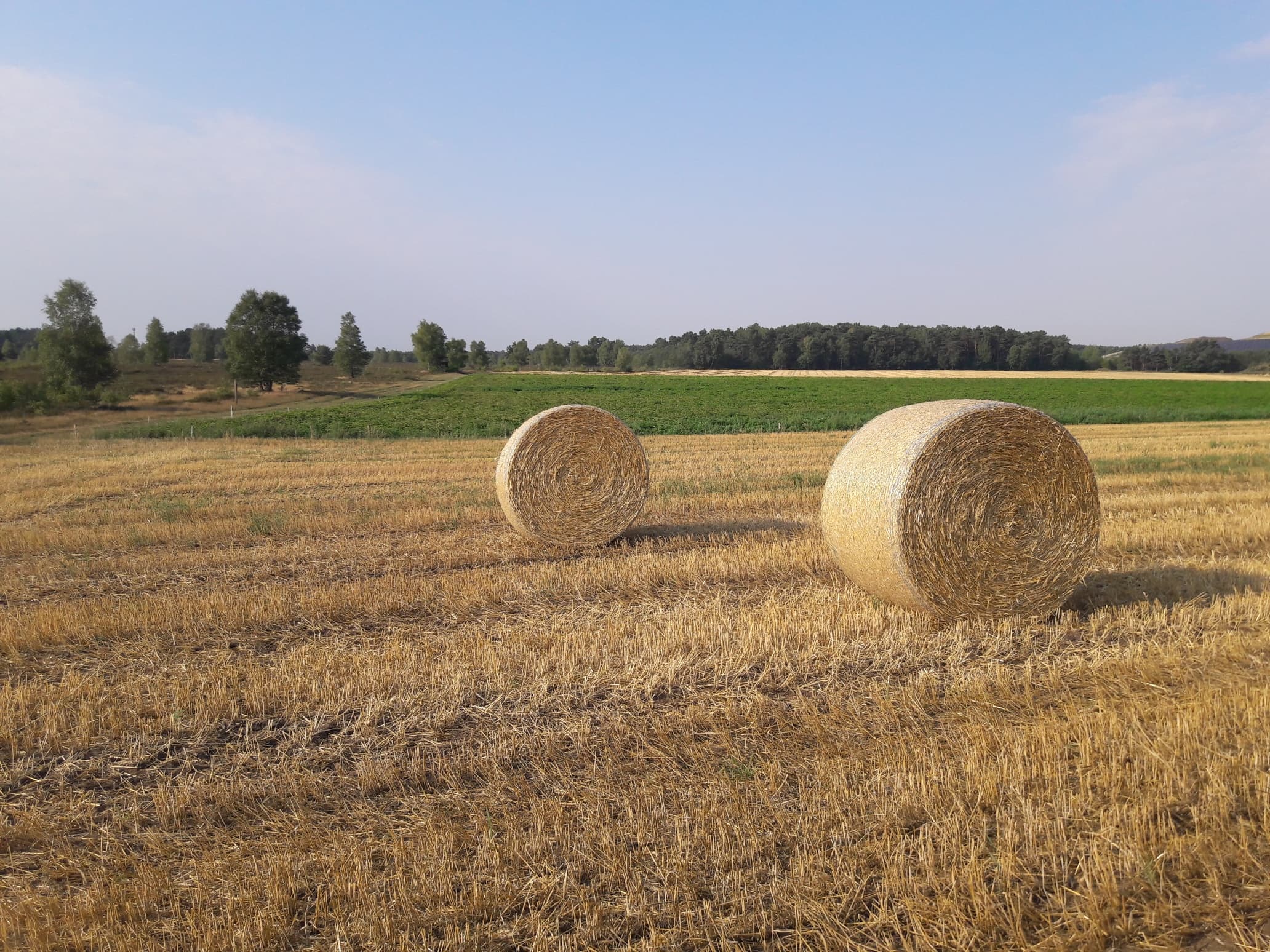 Strohballen