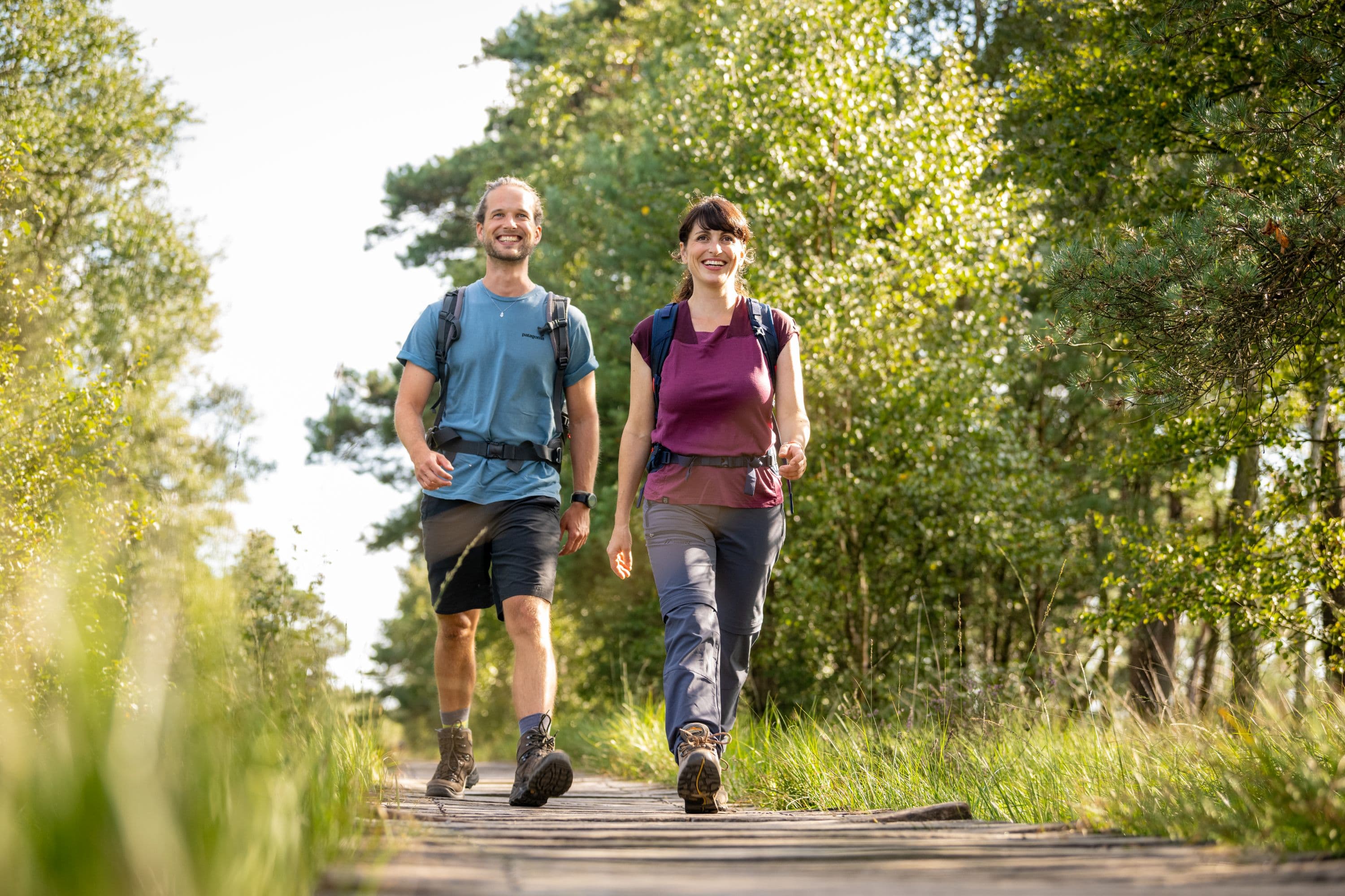 Pietzmoor Schneverdingen Wandern