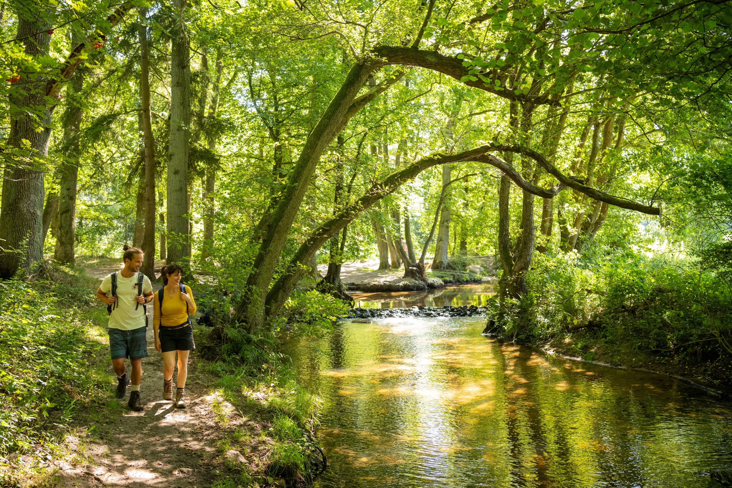 An der Schmalen Aue bei Hanstedt