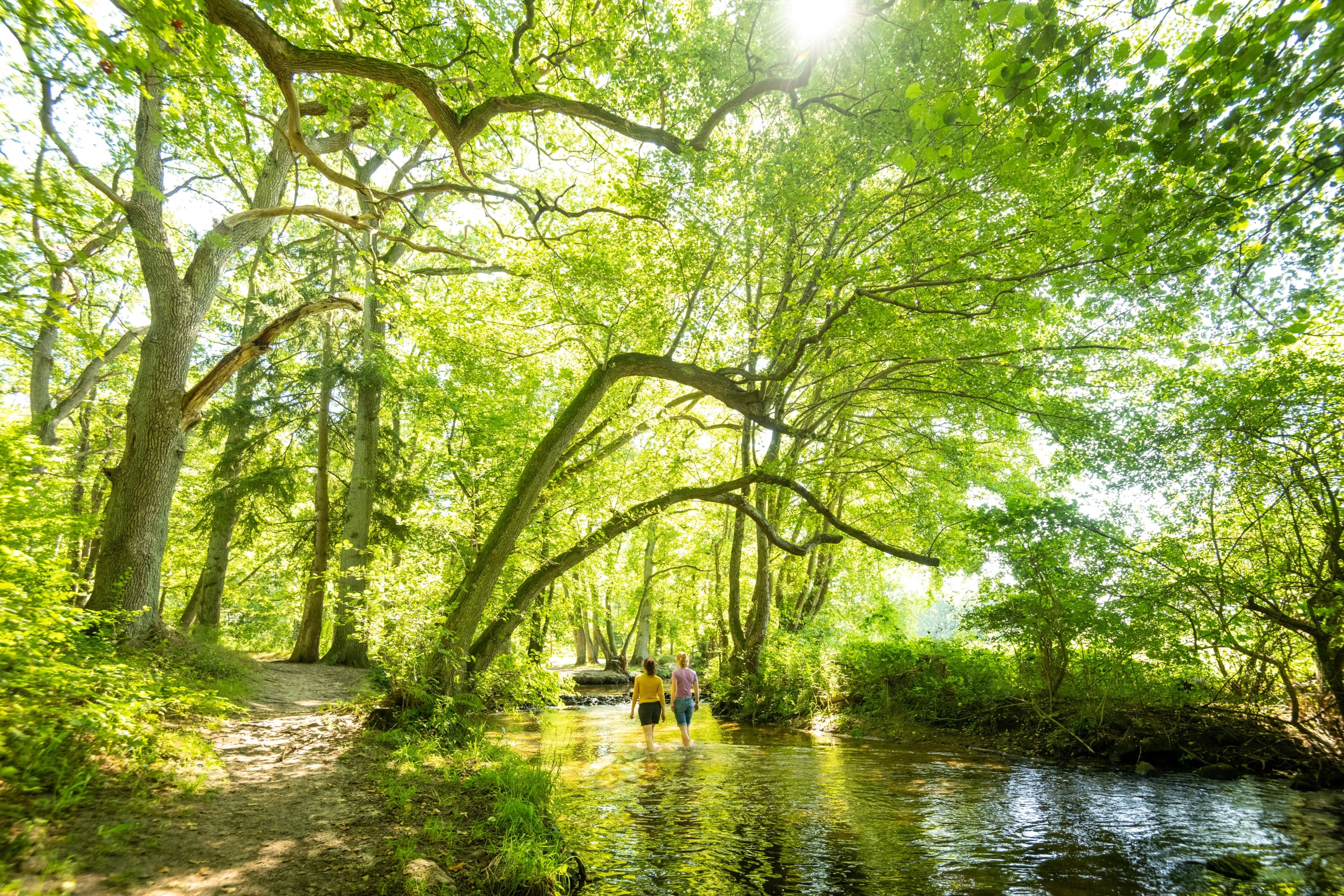 Wellness für die Füße in herrlicher Natur