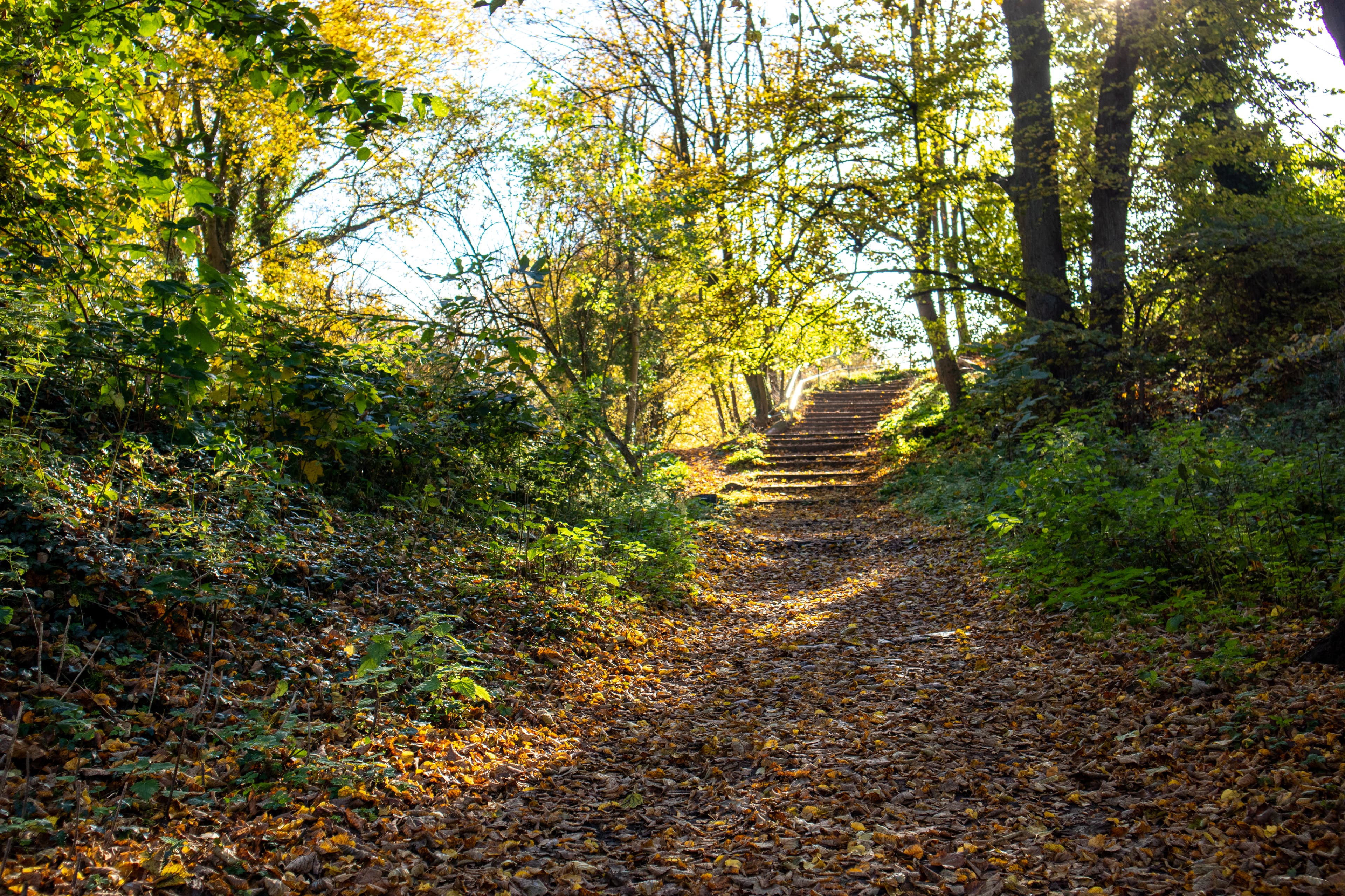 Gute Wege führen auf den Kalkberg Lüneburg