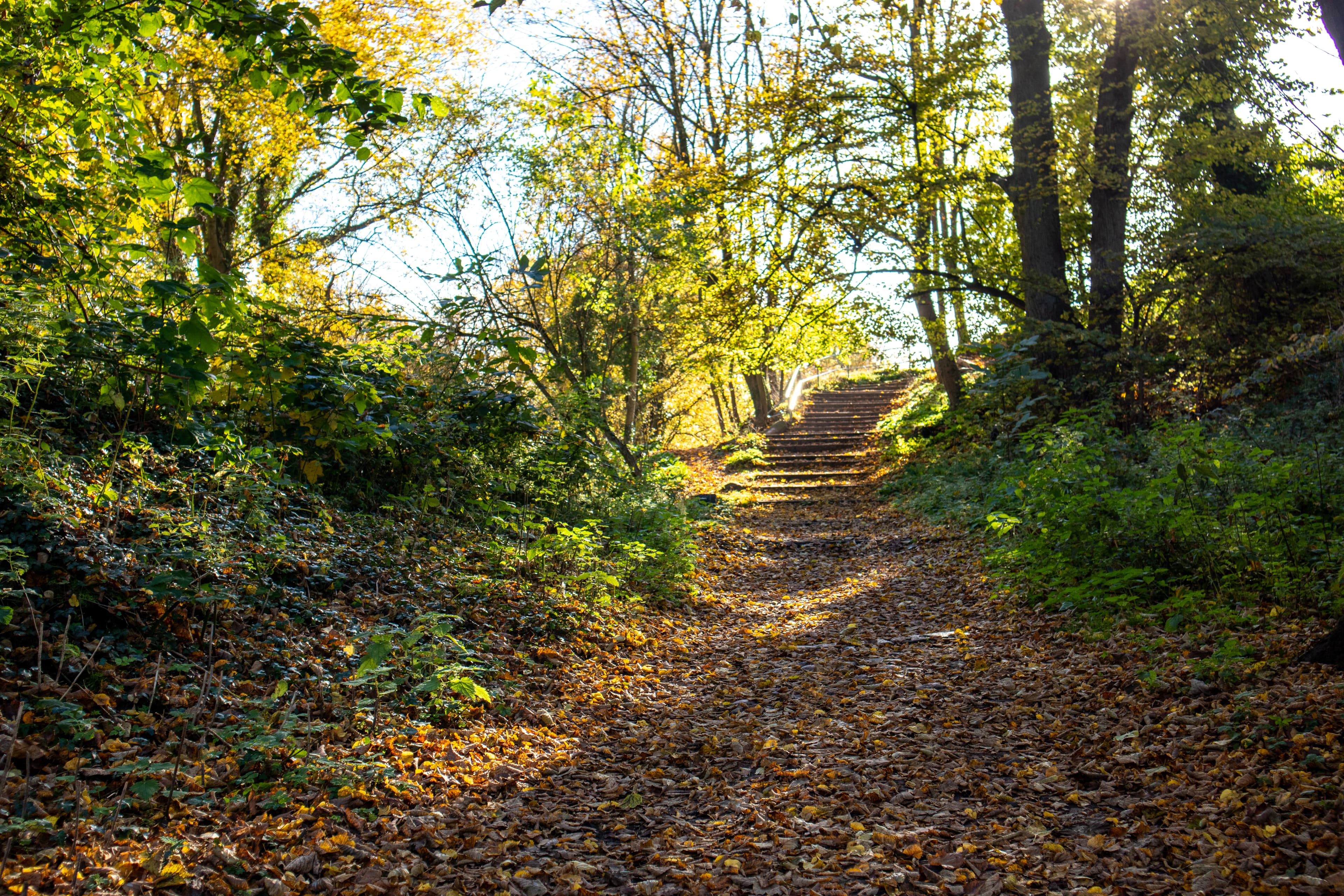 Wanderweg zum Kalkberg Lüneburg