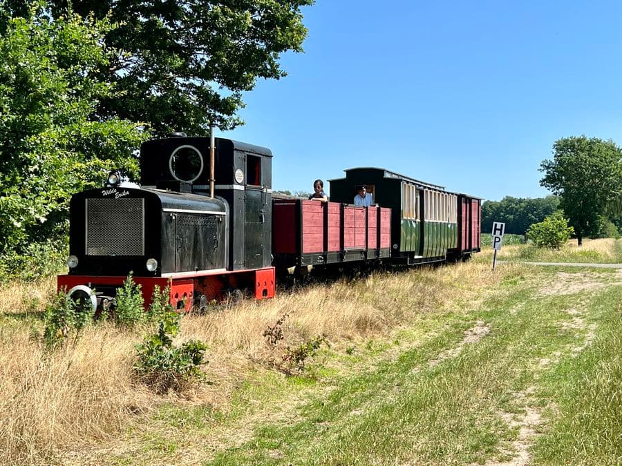 Böhmetal Kleinbahn - mit der wilden Erika durch die Heide