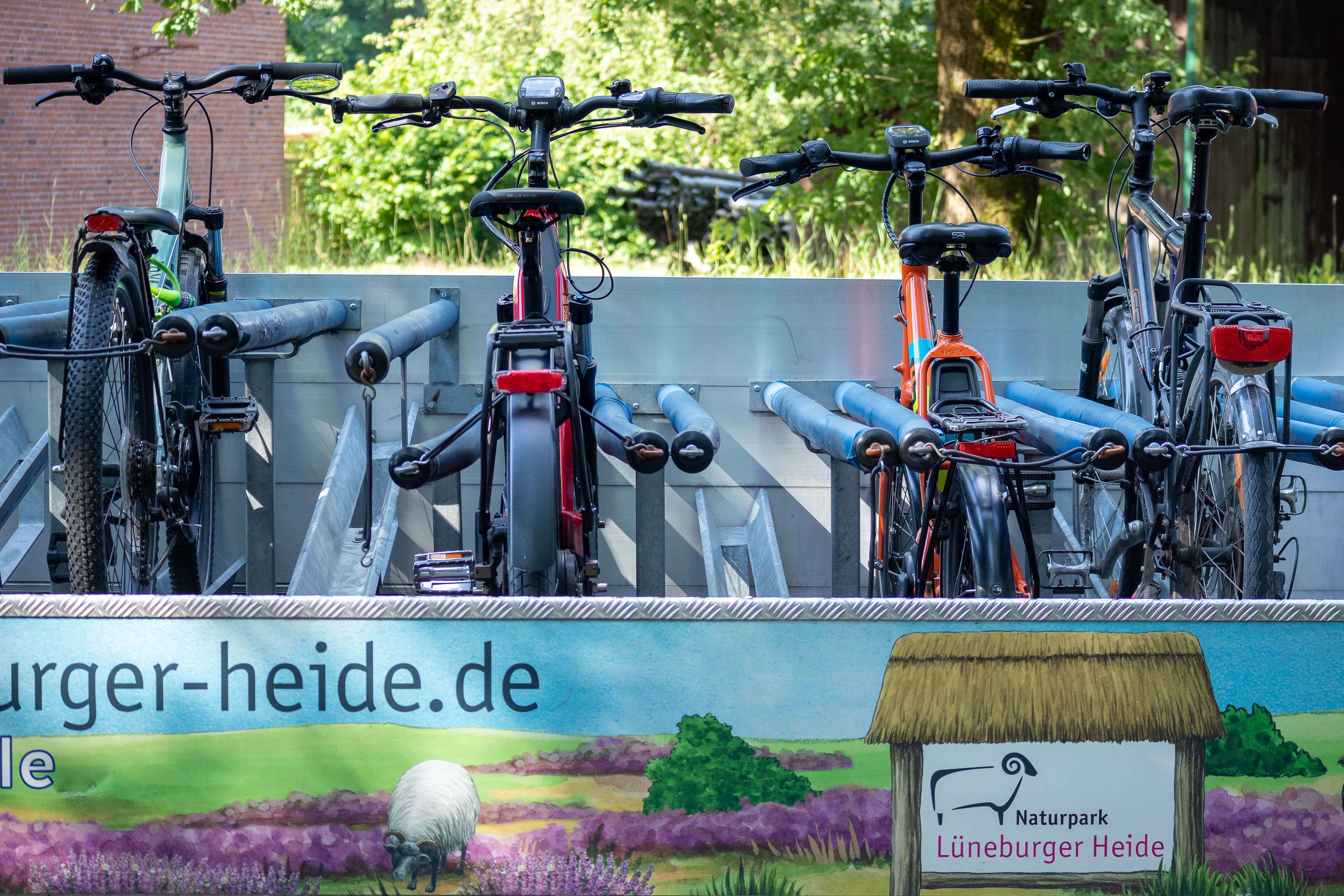 Auf dem Bus kann man sein Fahrrad mitnehmen