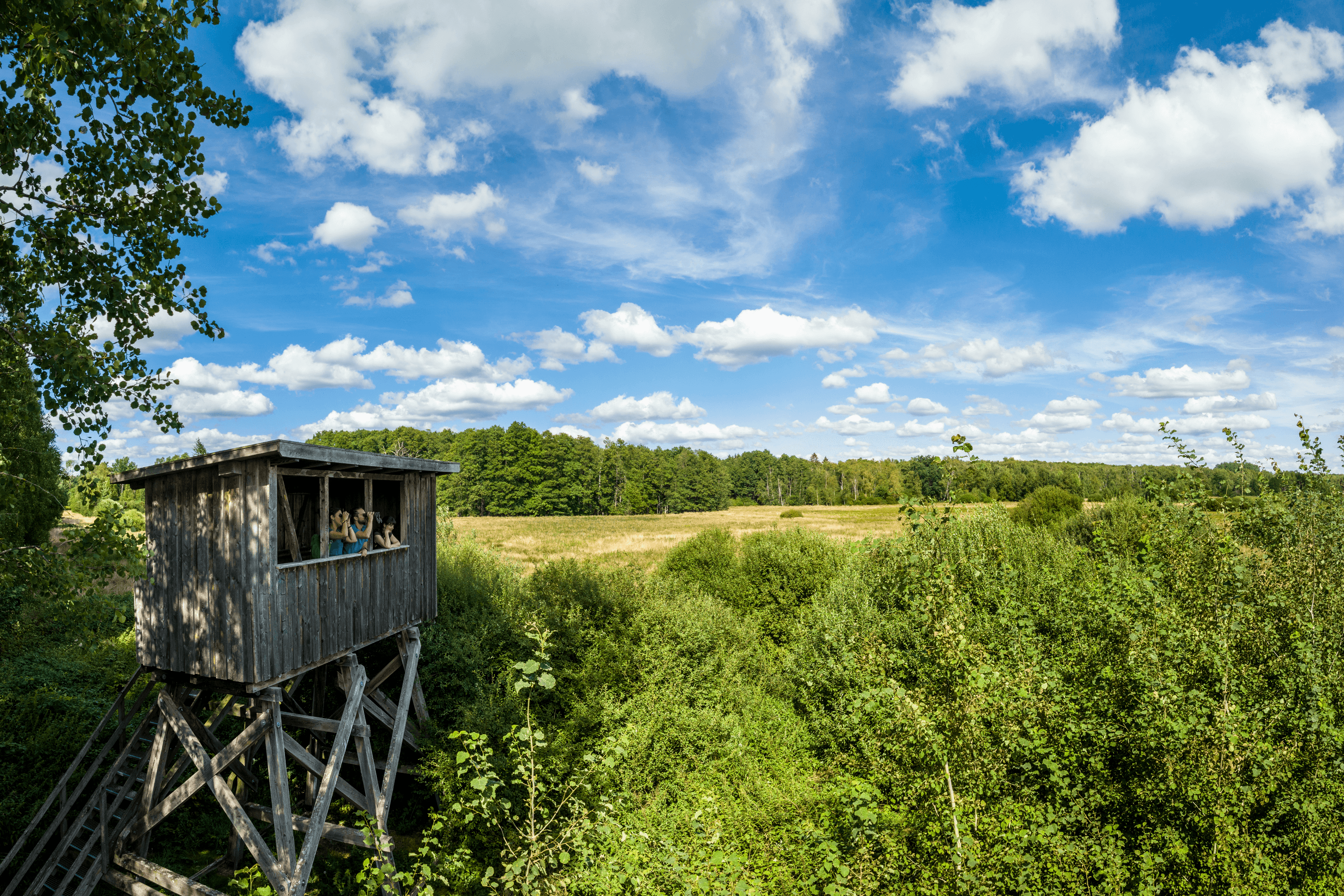 Eldingen Postmoor Aussichtsturm Südheide