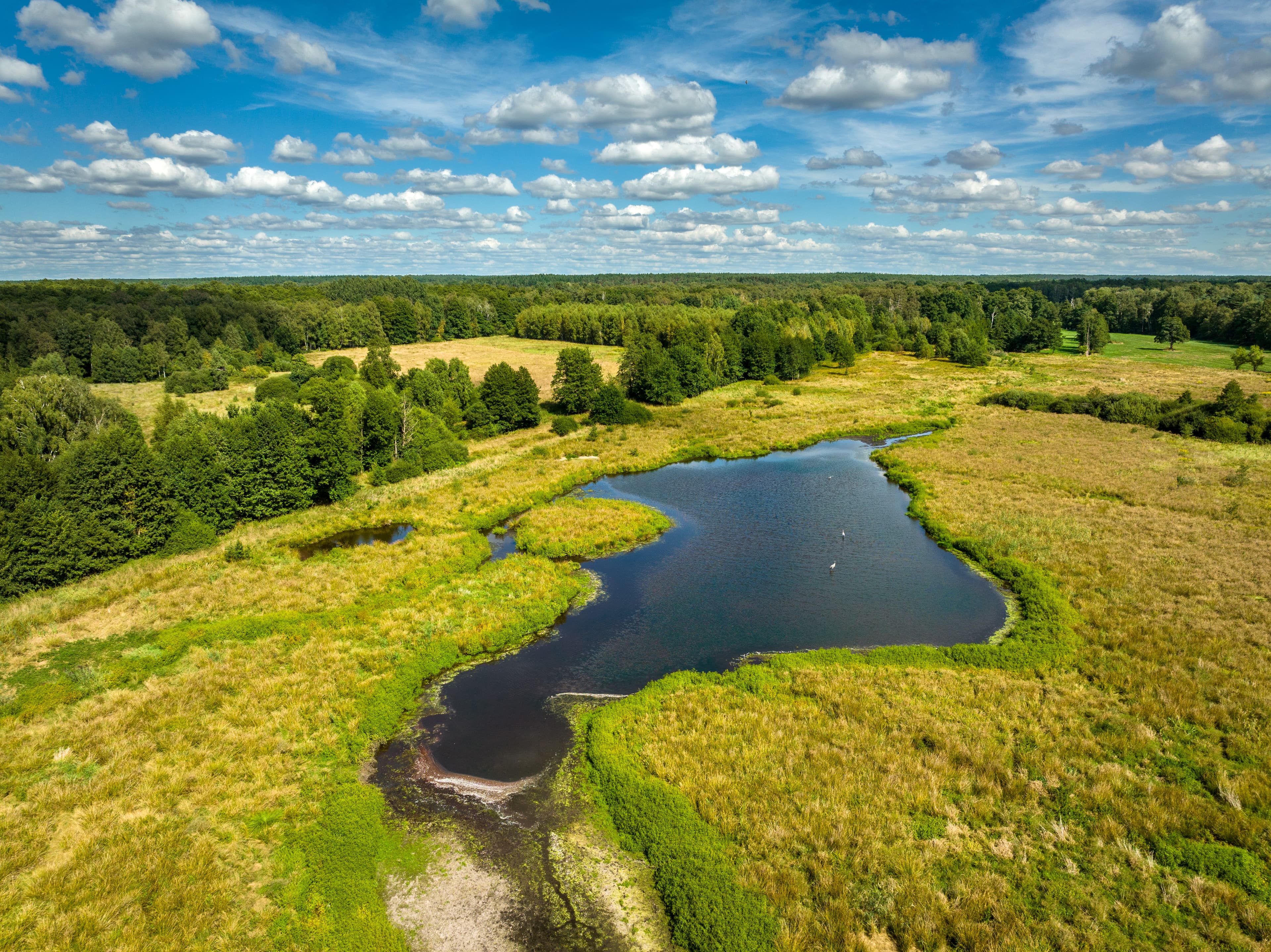 Postmoor in Eldingen von oben