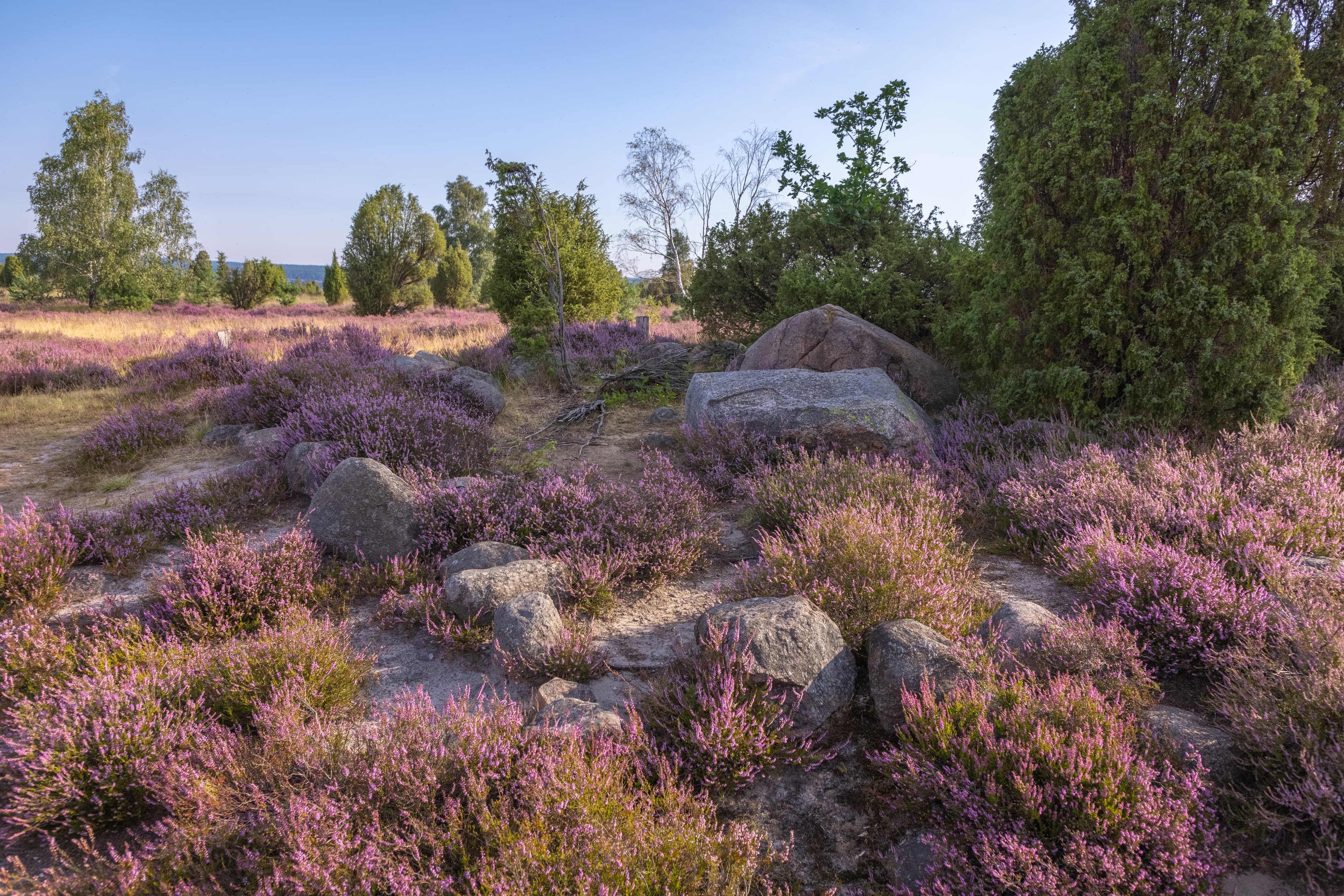 Doehler Heide bei Egestorf