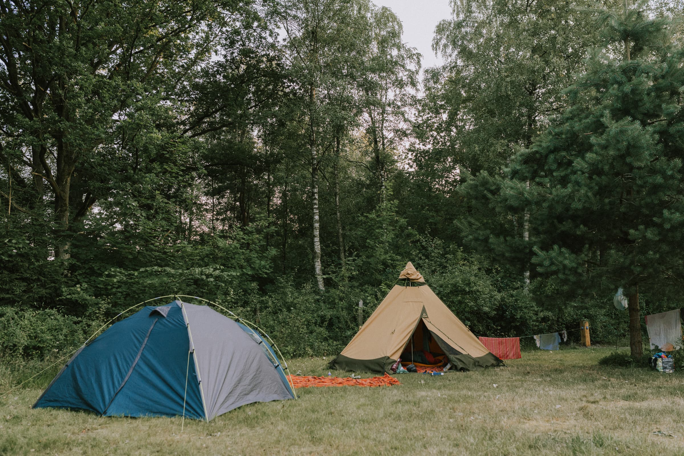Zelten bei Wildwood Camping in der Lüneburger Heide