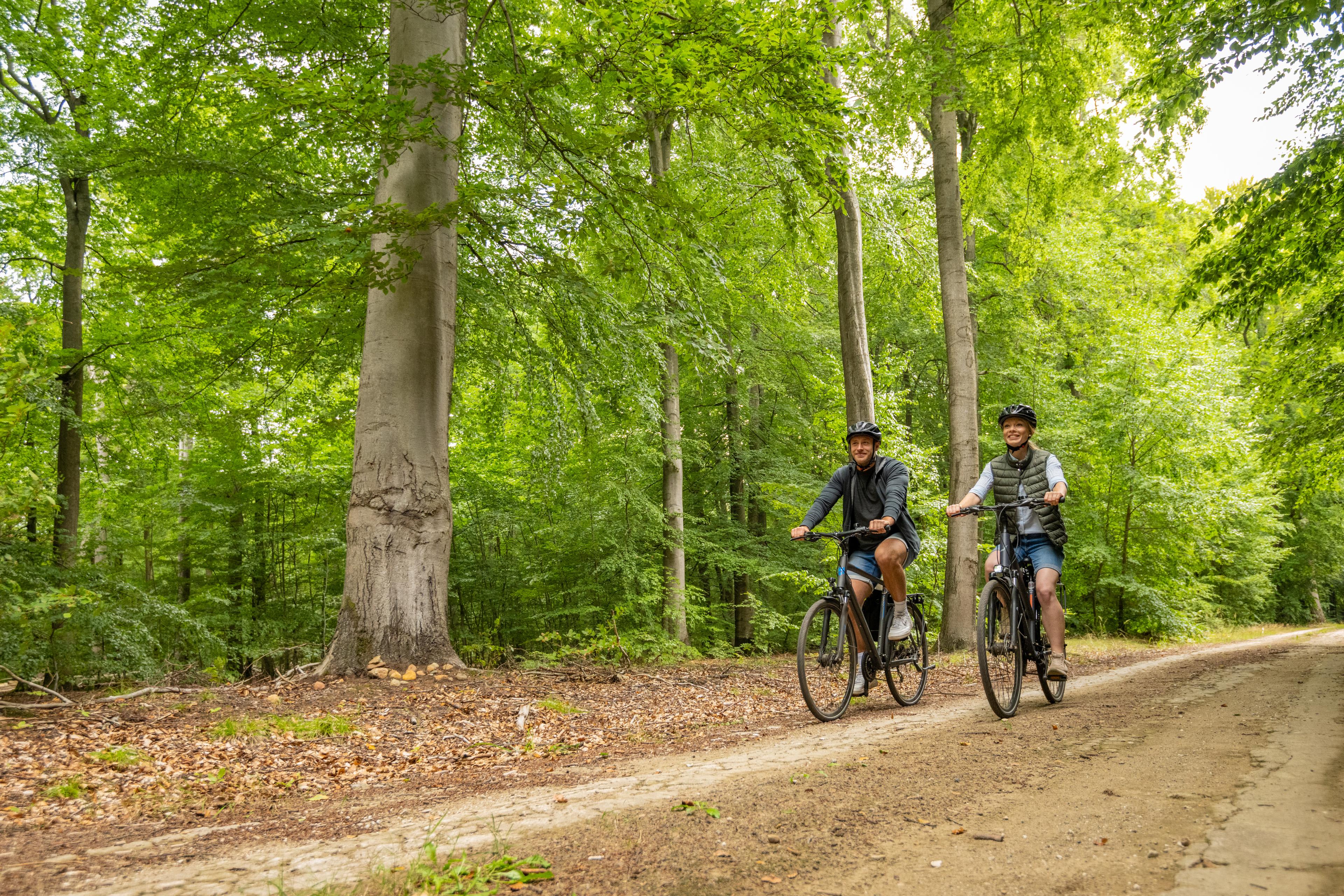 Fahrradtour im Wald