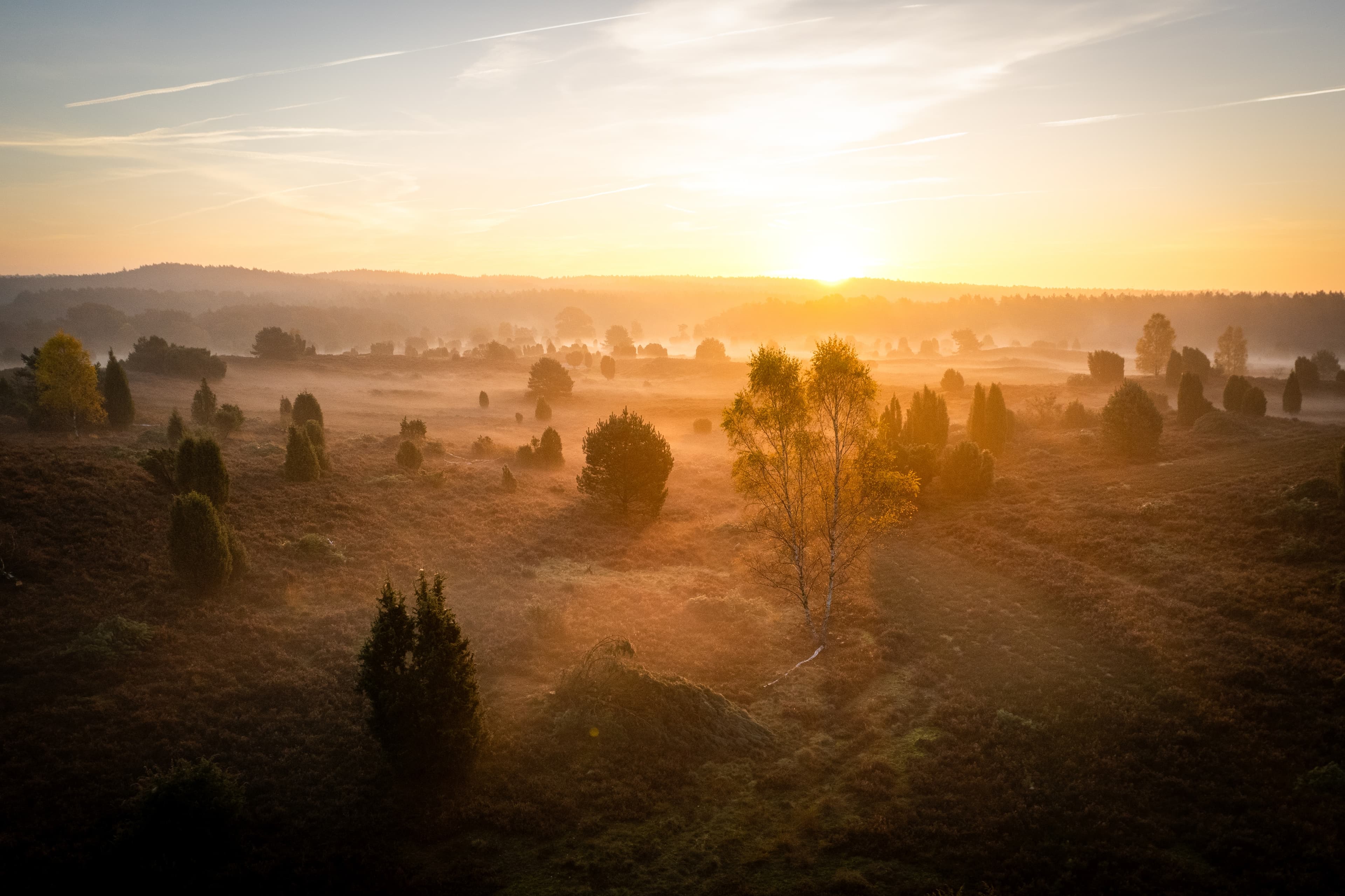 Sonnenaufgang in der Sudermühler Heide