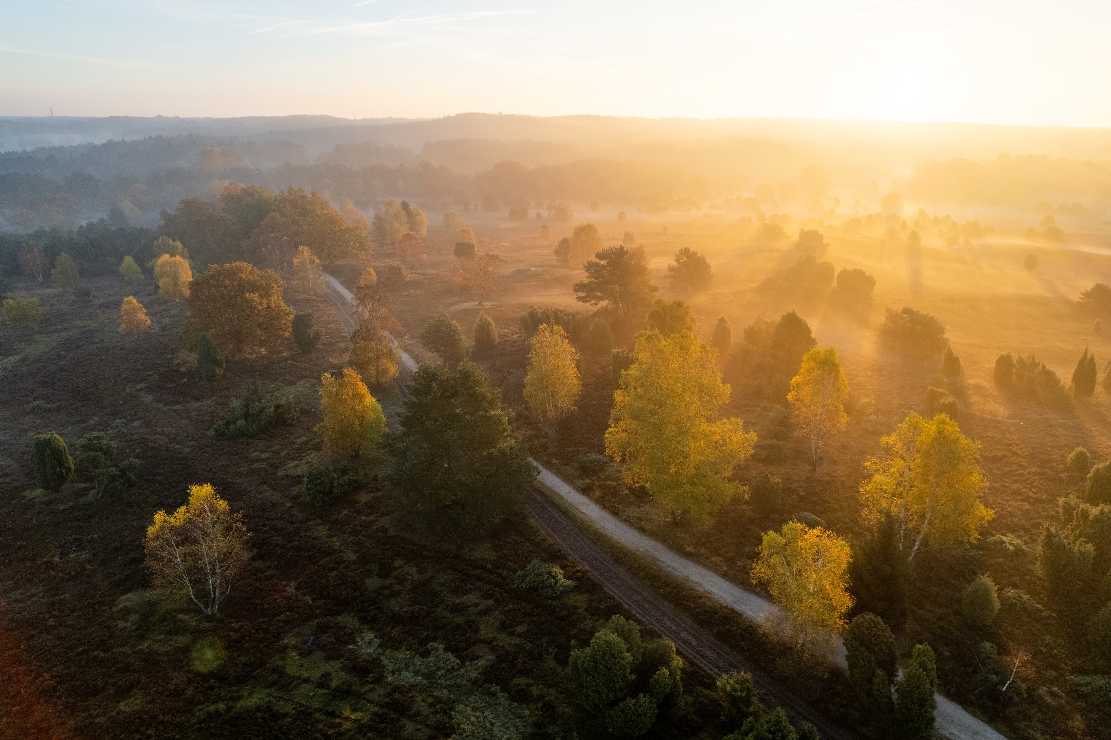 Herbststimmung in der Sudermühler Heide