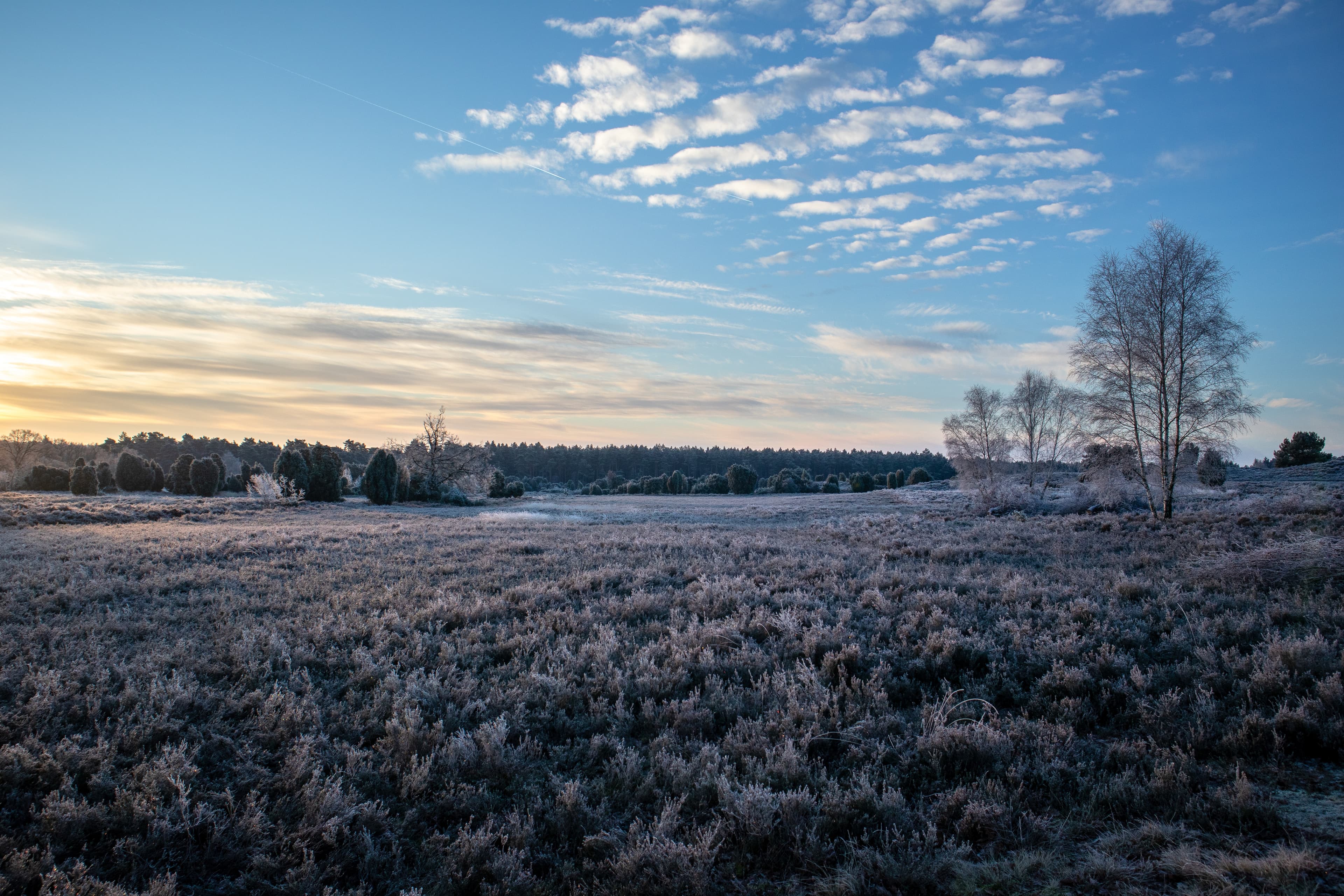 Frostiger Sonnenaufgang im Winter