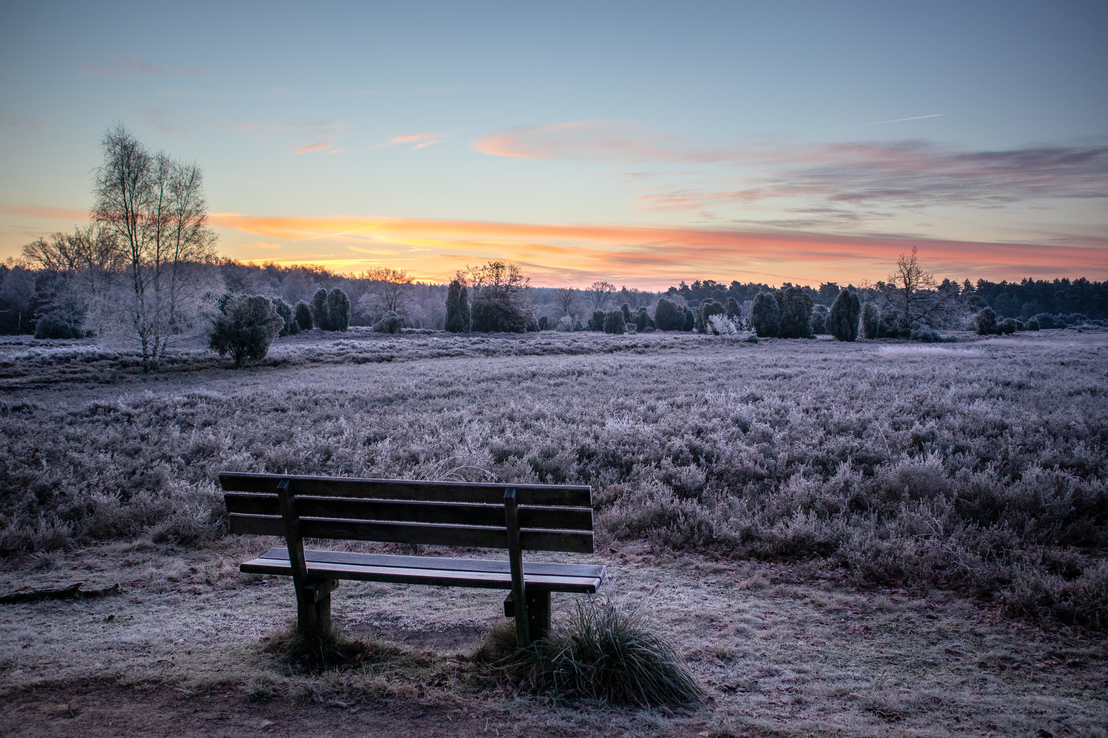 Frost in der Heide bei Egestorf