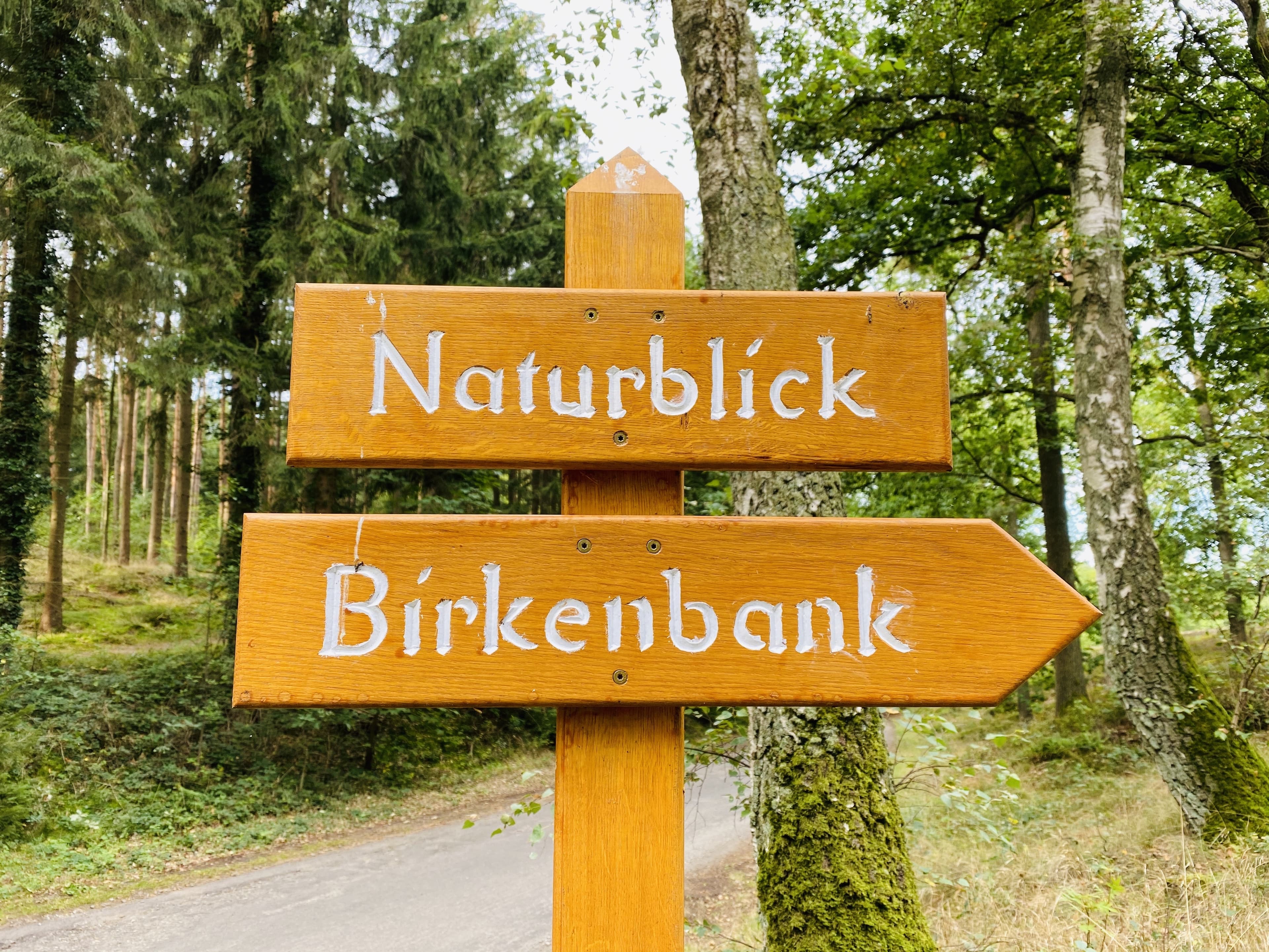einer der schönsten Punkte in der Heide