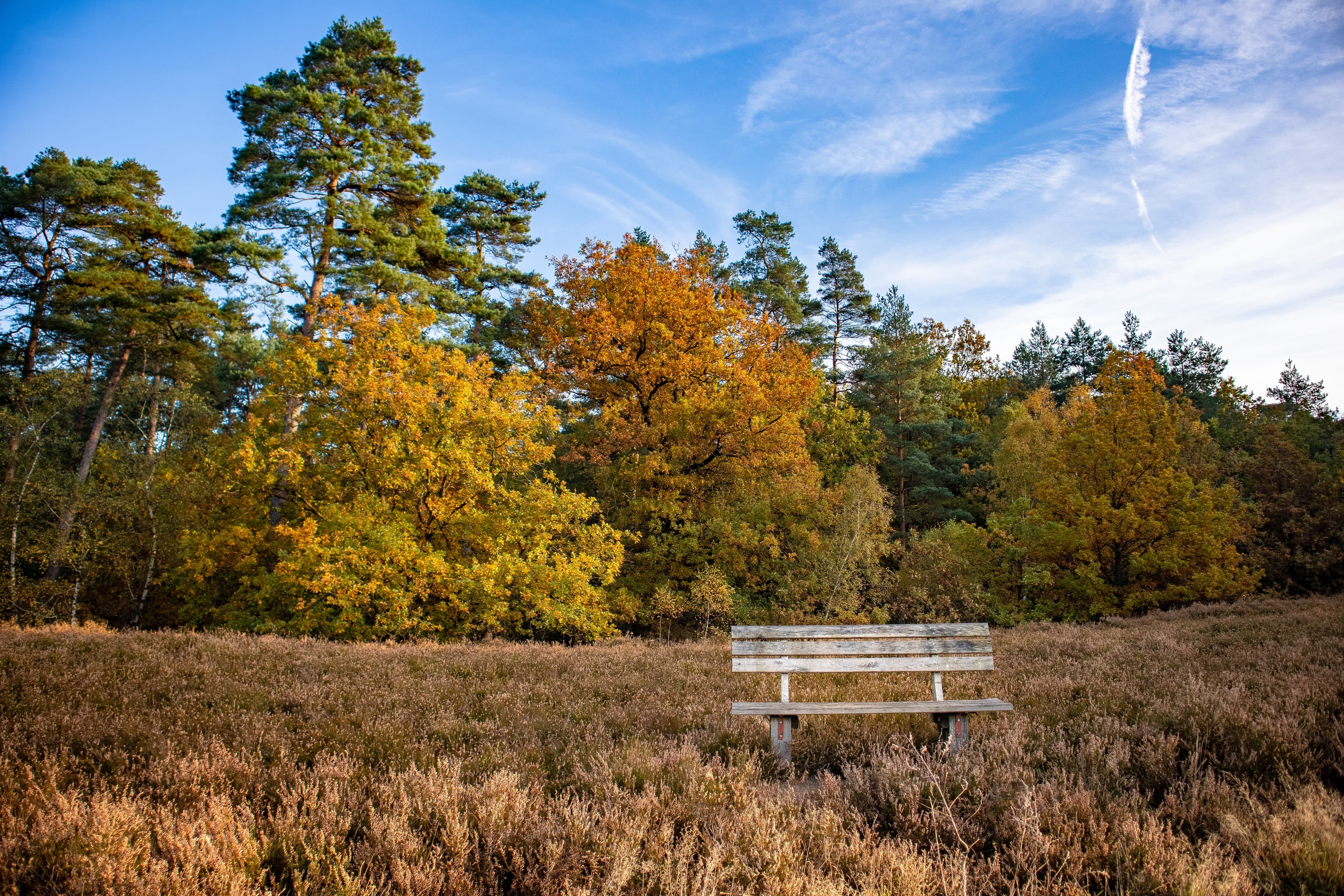Aussichtspunkt bei Egestorf