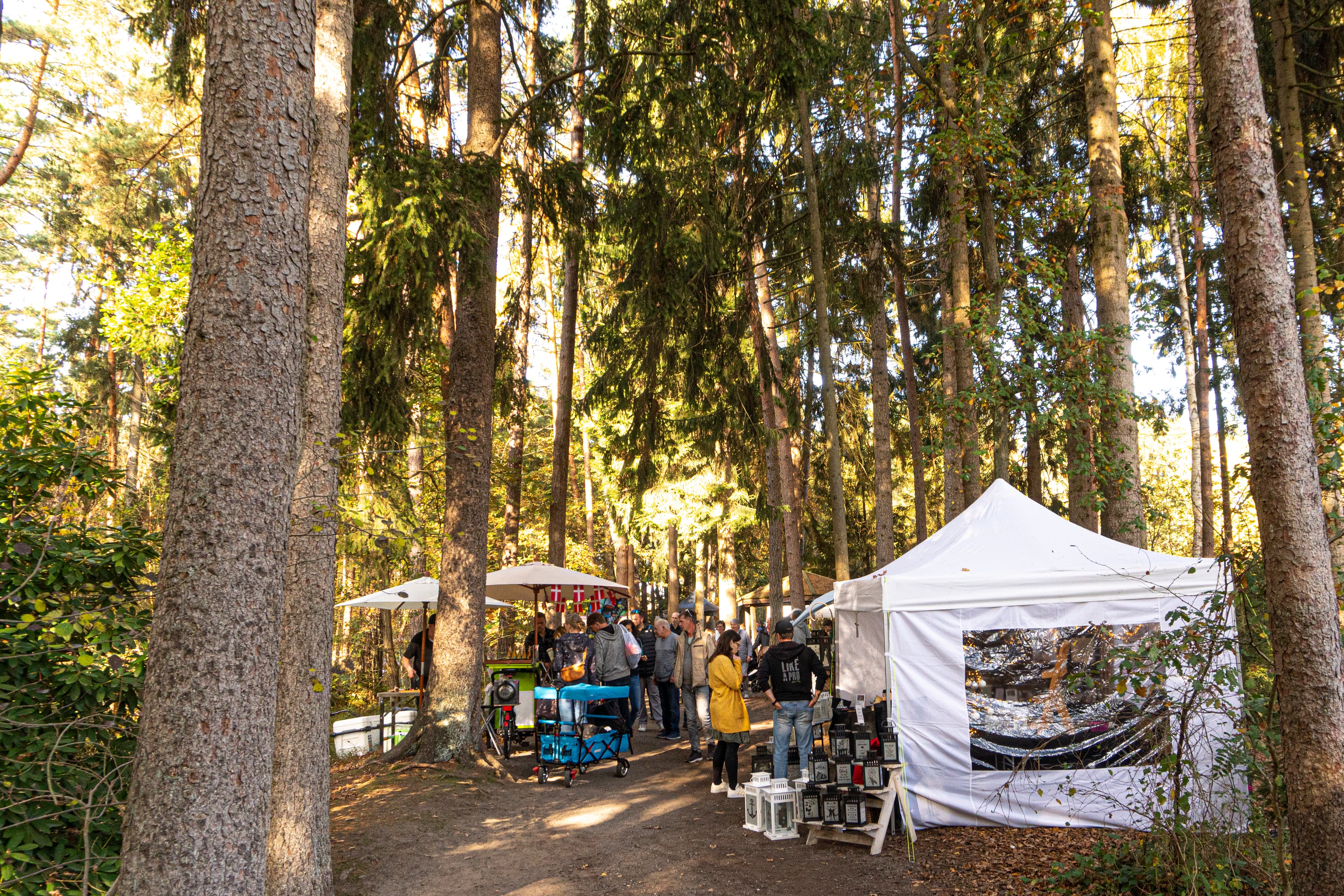 Herbstmarkt im Wildpark Müden