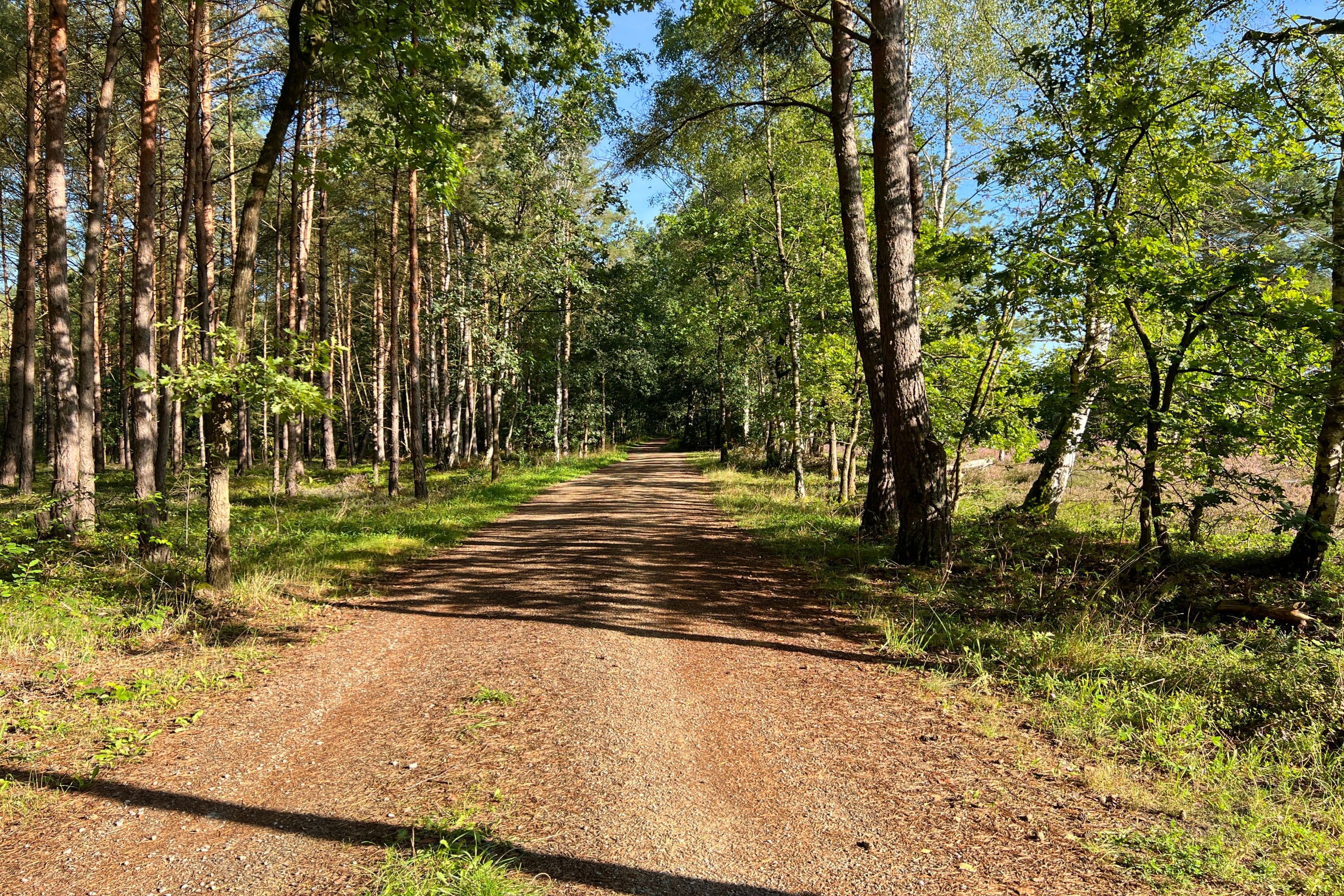 Aller-Radweg zwischen Oldau und Hambühren