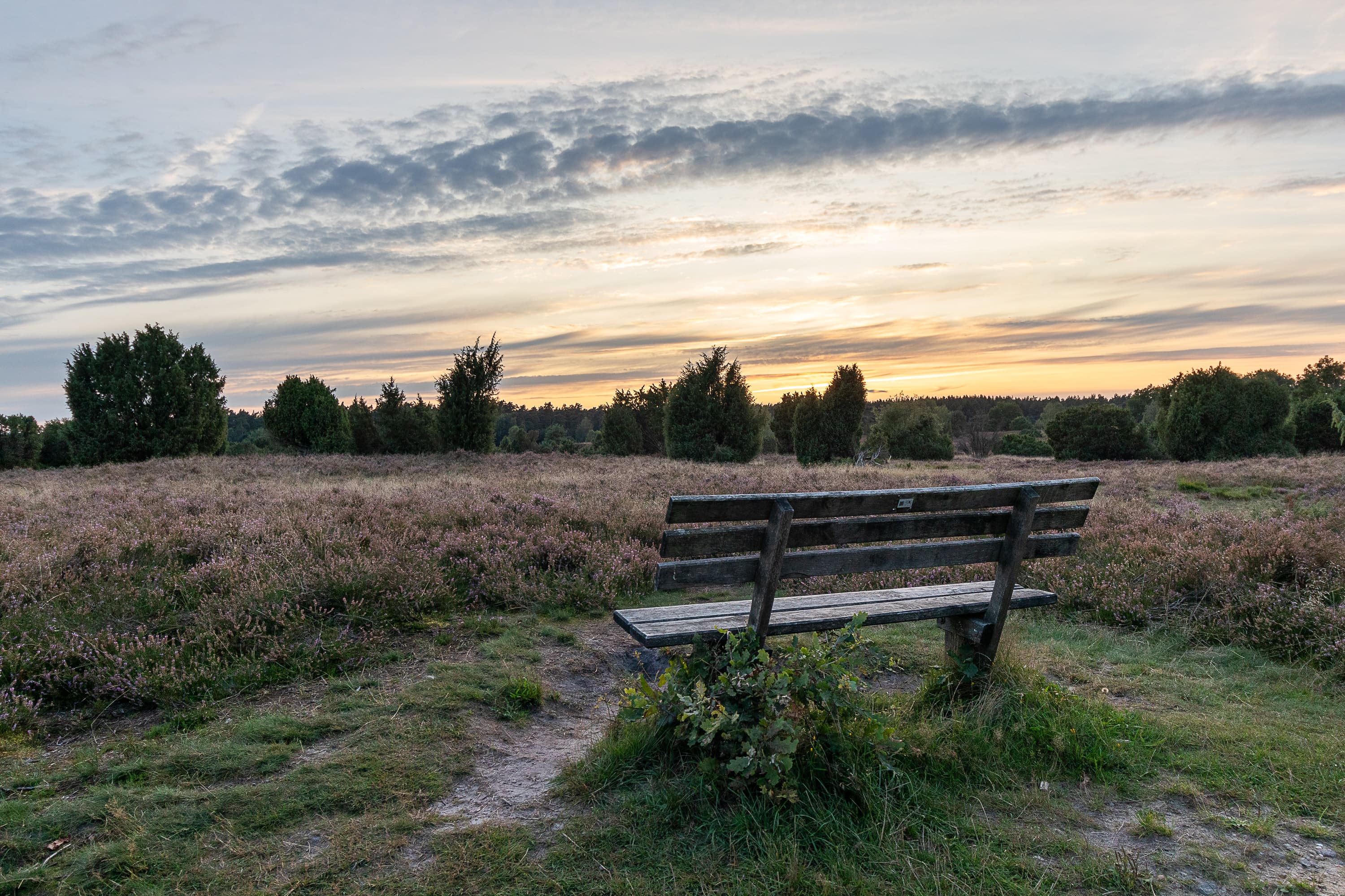 Bank in der Sudermühlener Heide