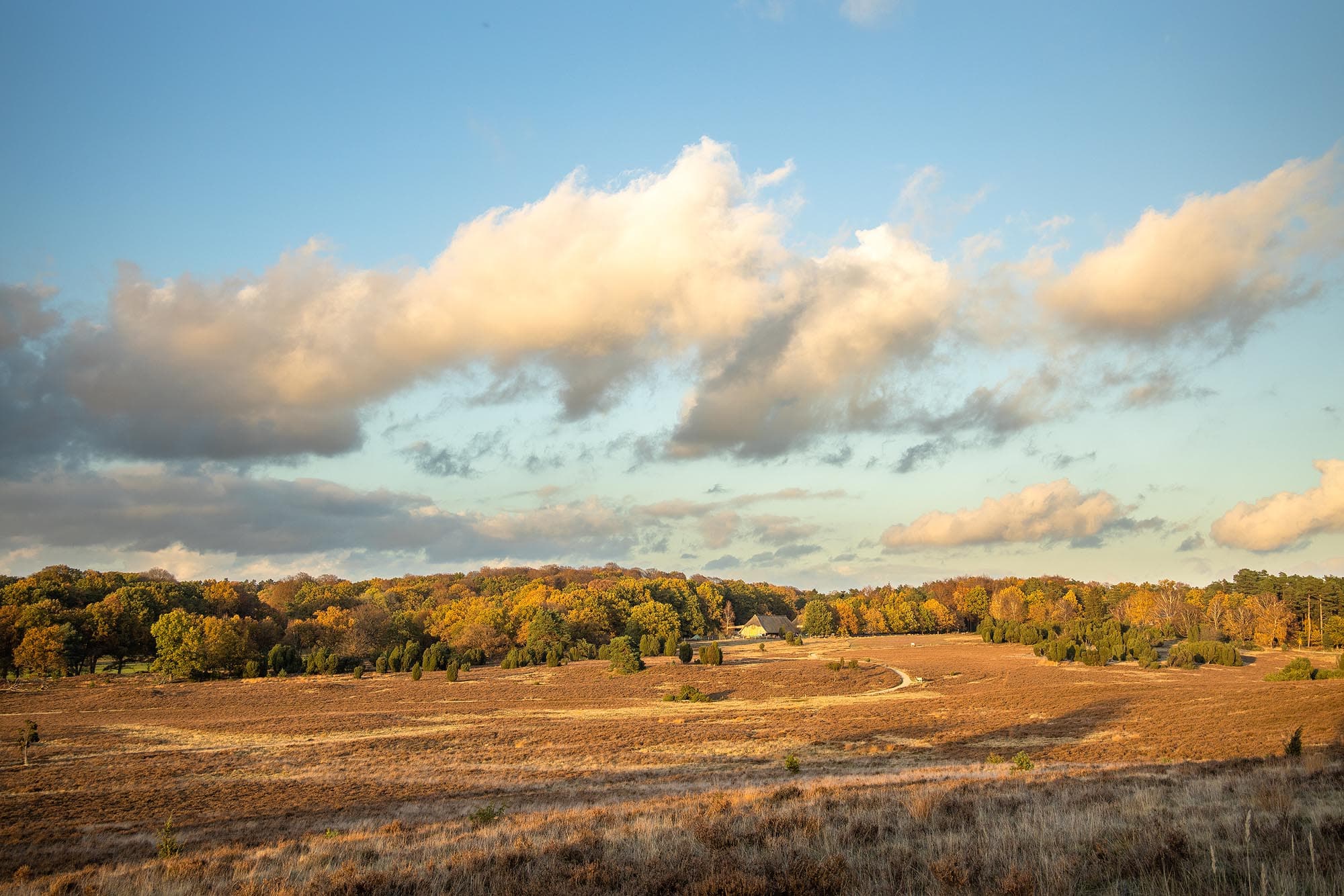 Herbst Wanderung zum Suhorn bei Bispingen
