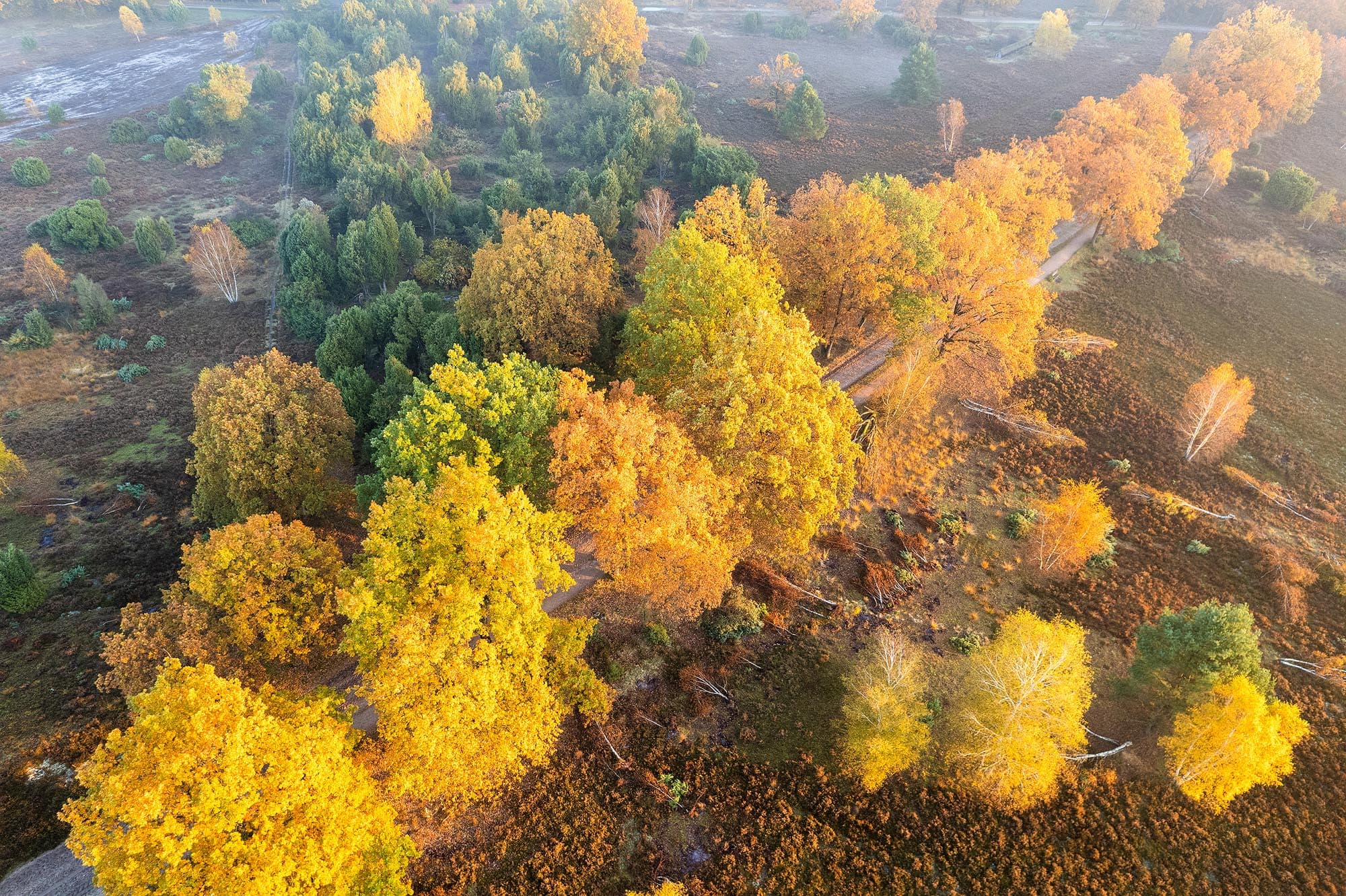 Egestorf in der Lüneburger Heide ist sehr schön bunt im Herbst