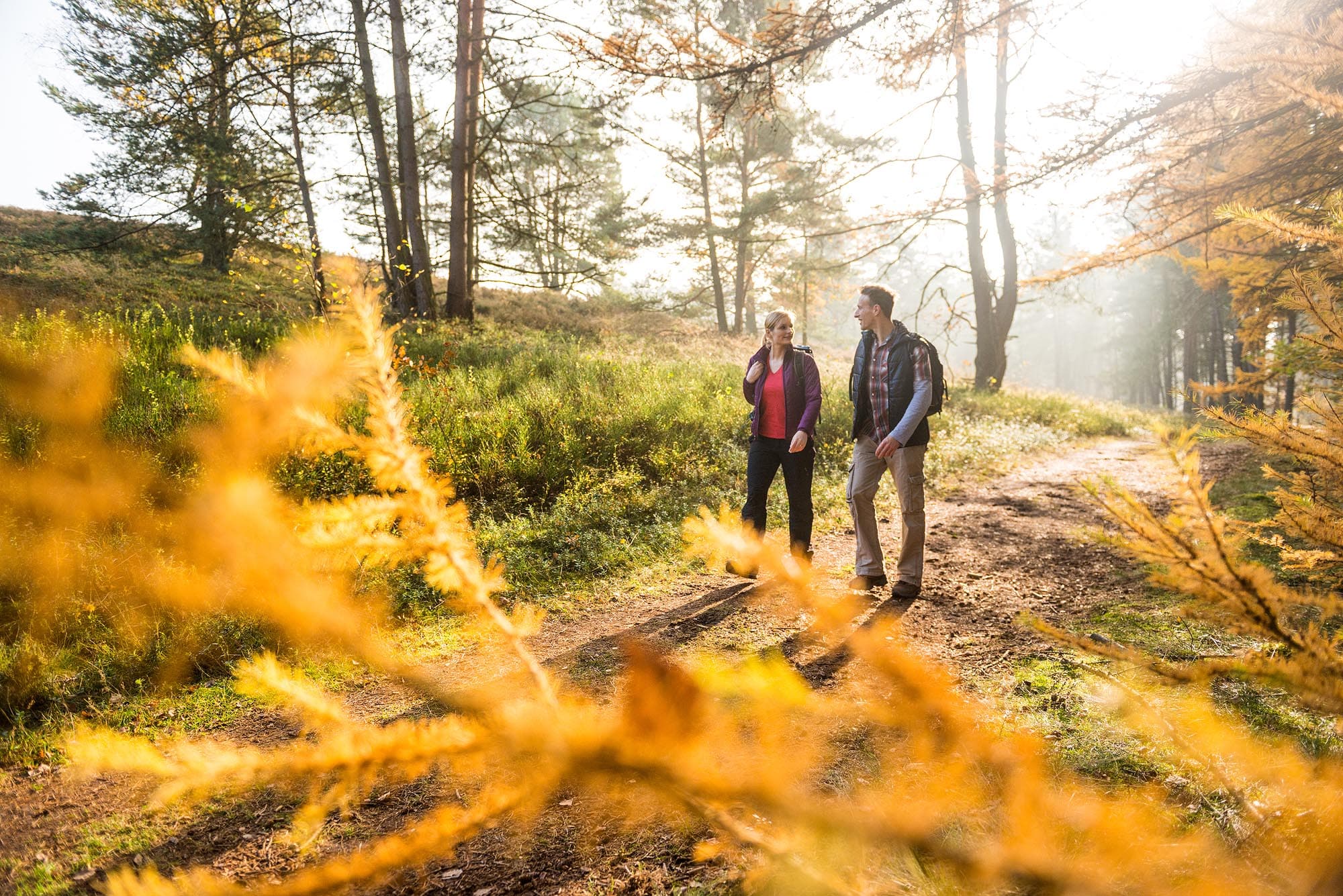 Wandern durch den wilden Teil der Heide im Herbst