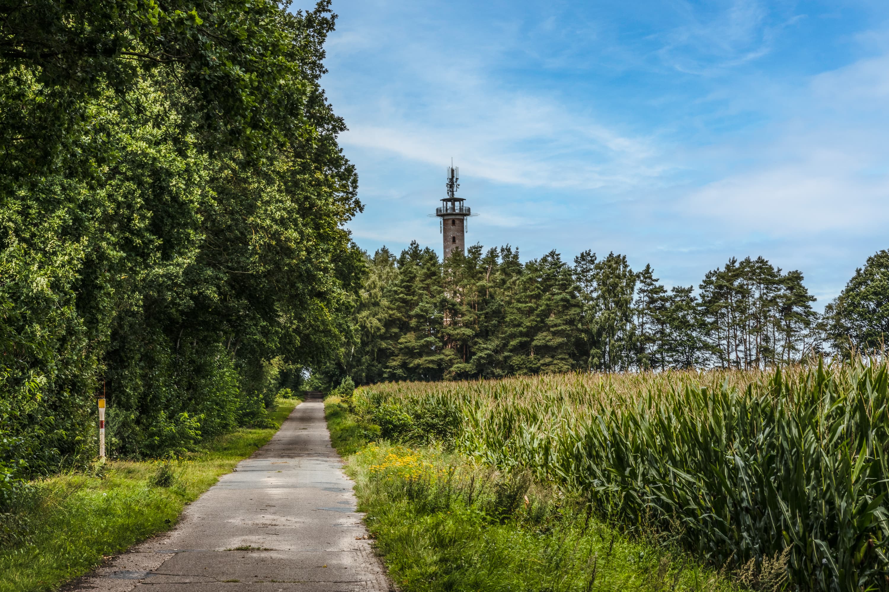 Anfahrt zur Aussichtsplattform bei Suderburg