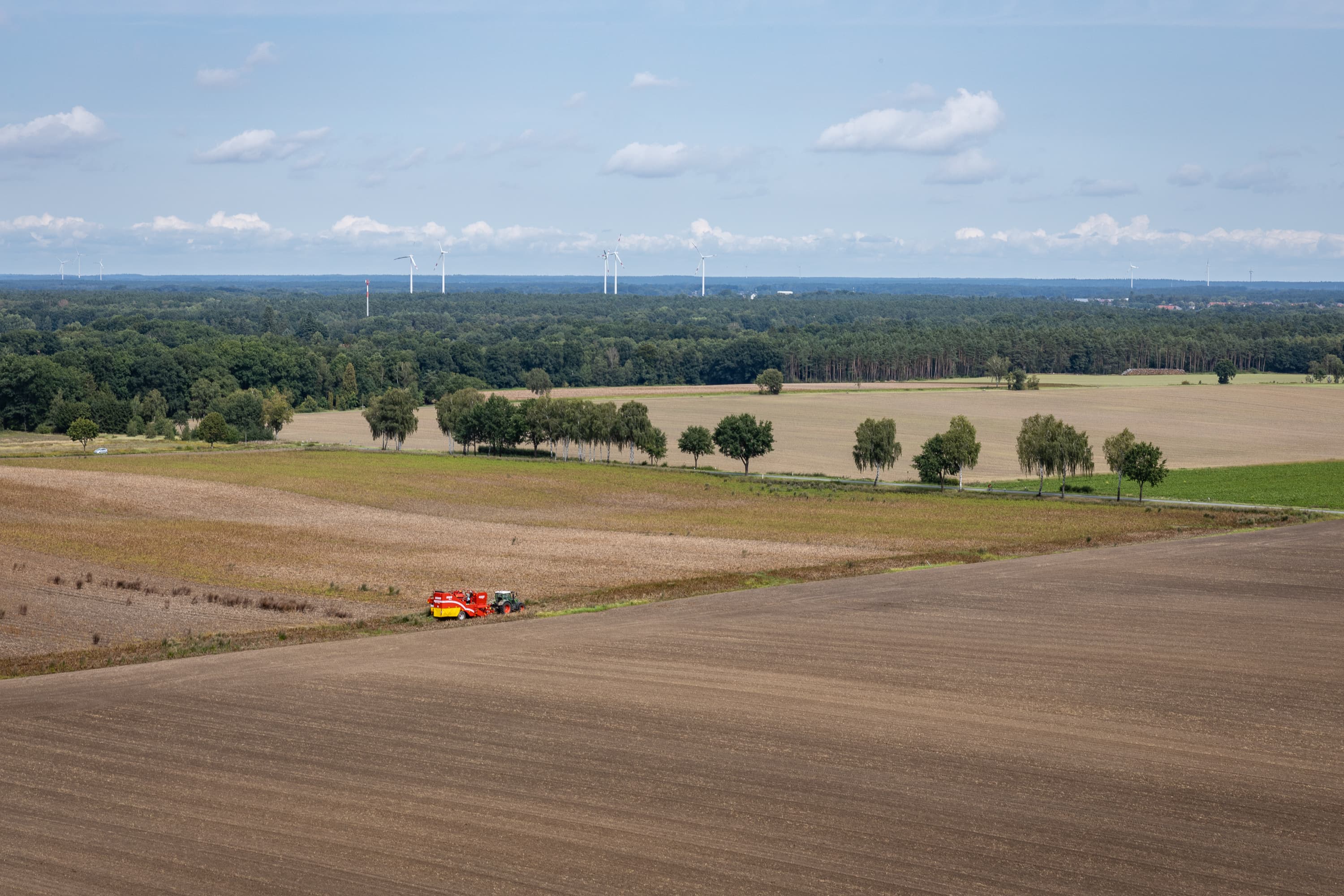 Weite Sicht von der Aussichtsplattform Hoesseringen