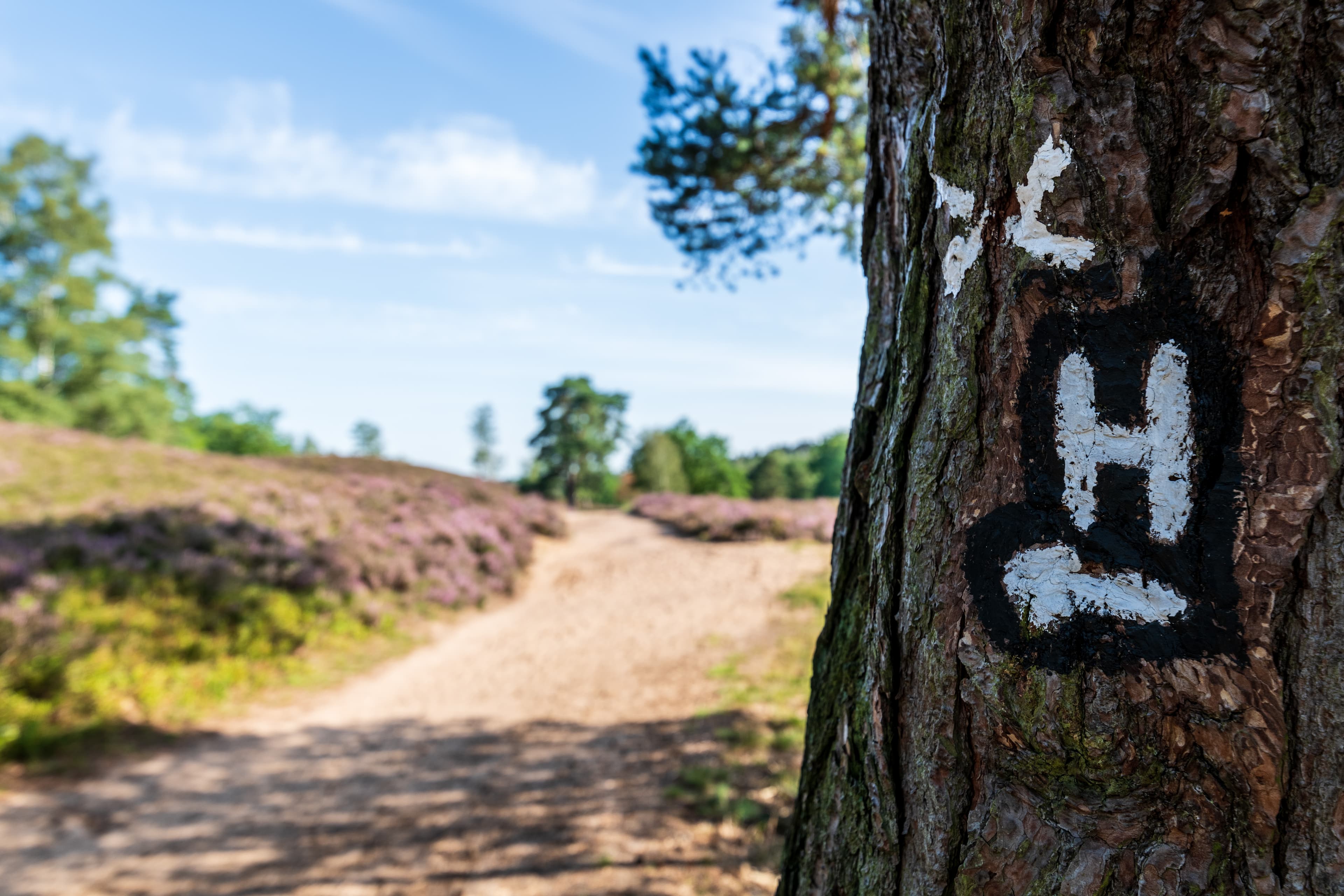 Ausschilderung des Heidschnuckenweges in der Fischbeker Heide