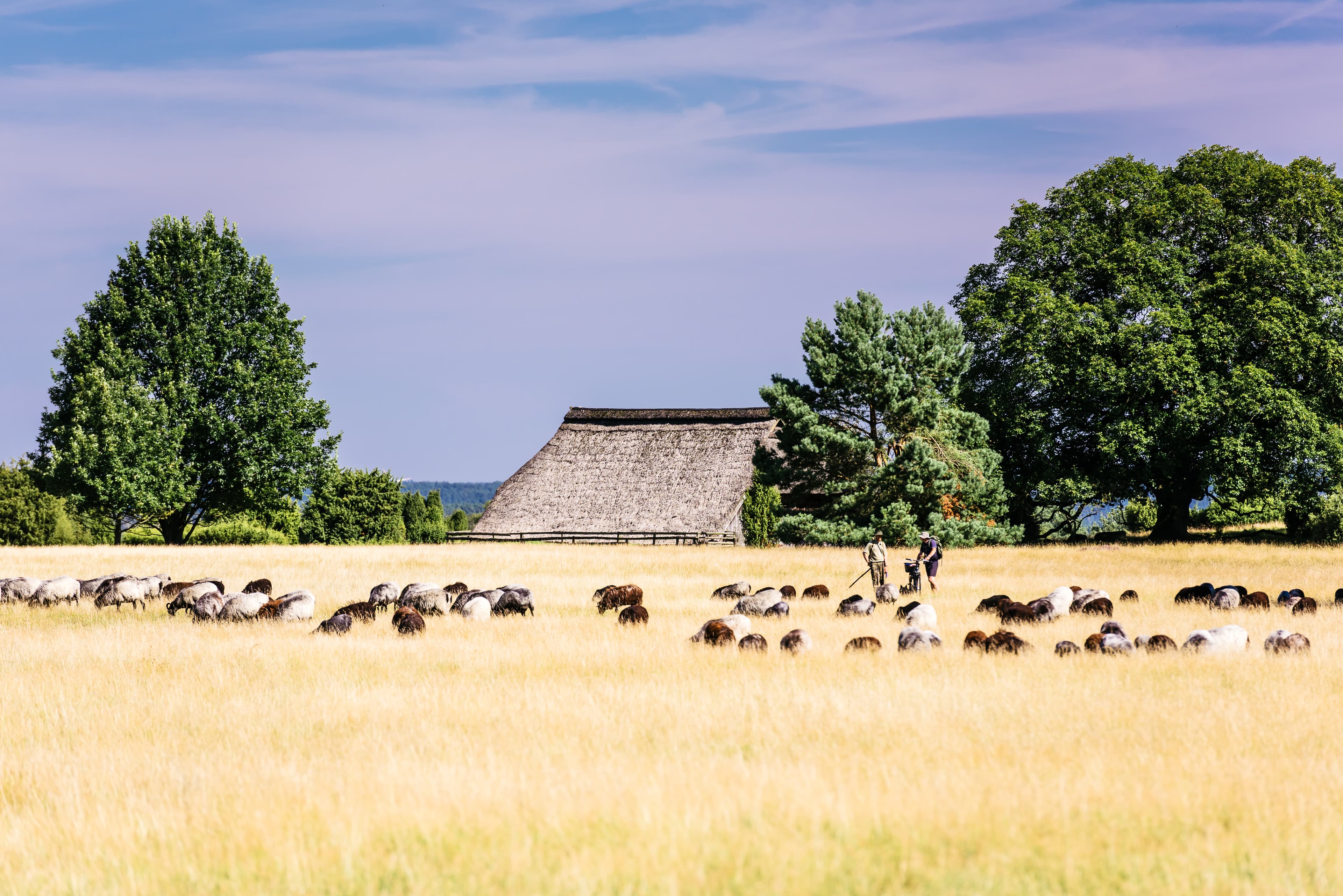 Radtouren und wandern um den Wilseder Berg und Totengrund