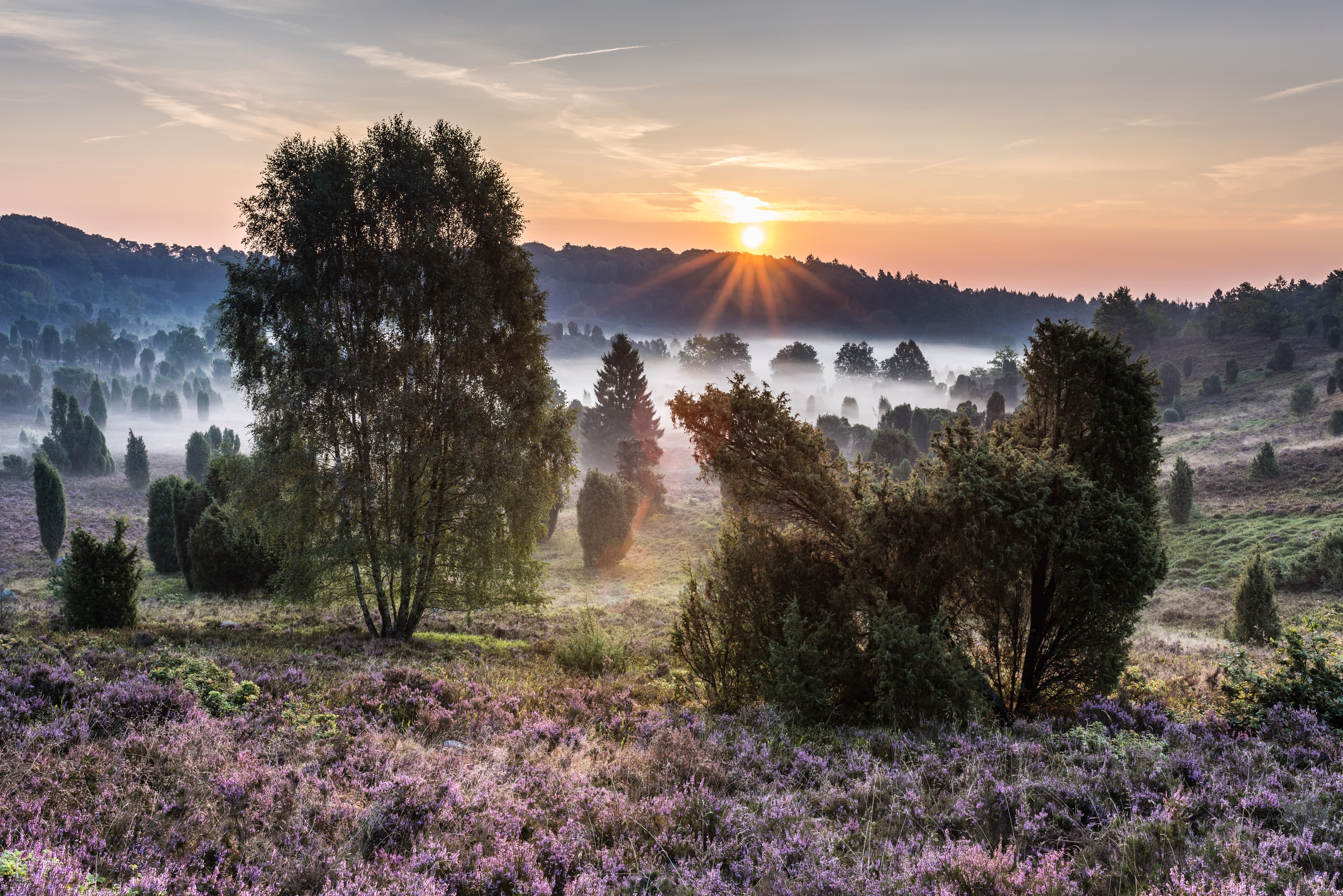Spätsommer Touren durch die Heide