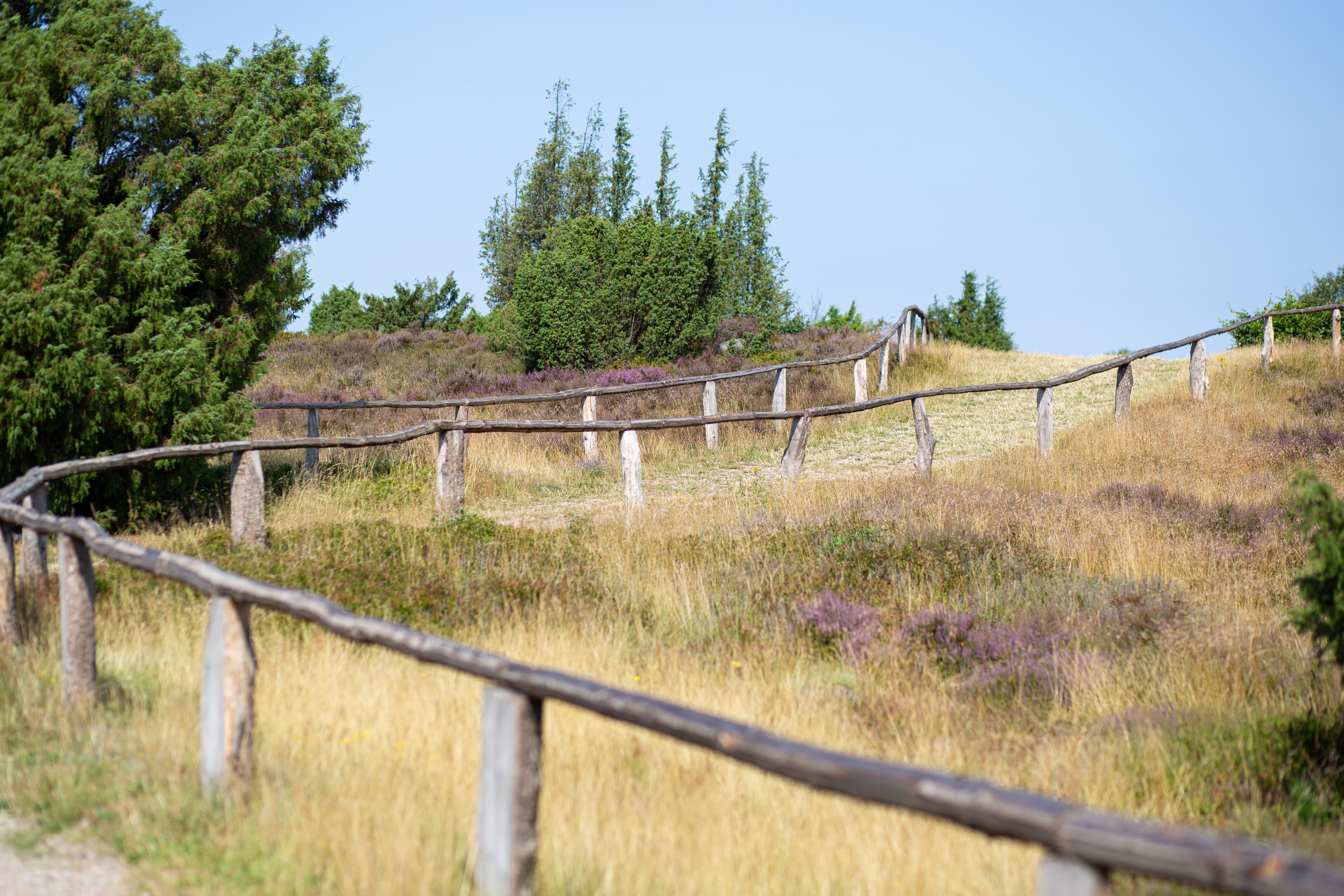 Radtouren und Wanderungen am Wilseder Berg