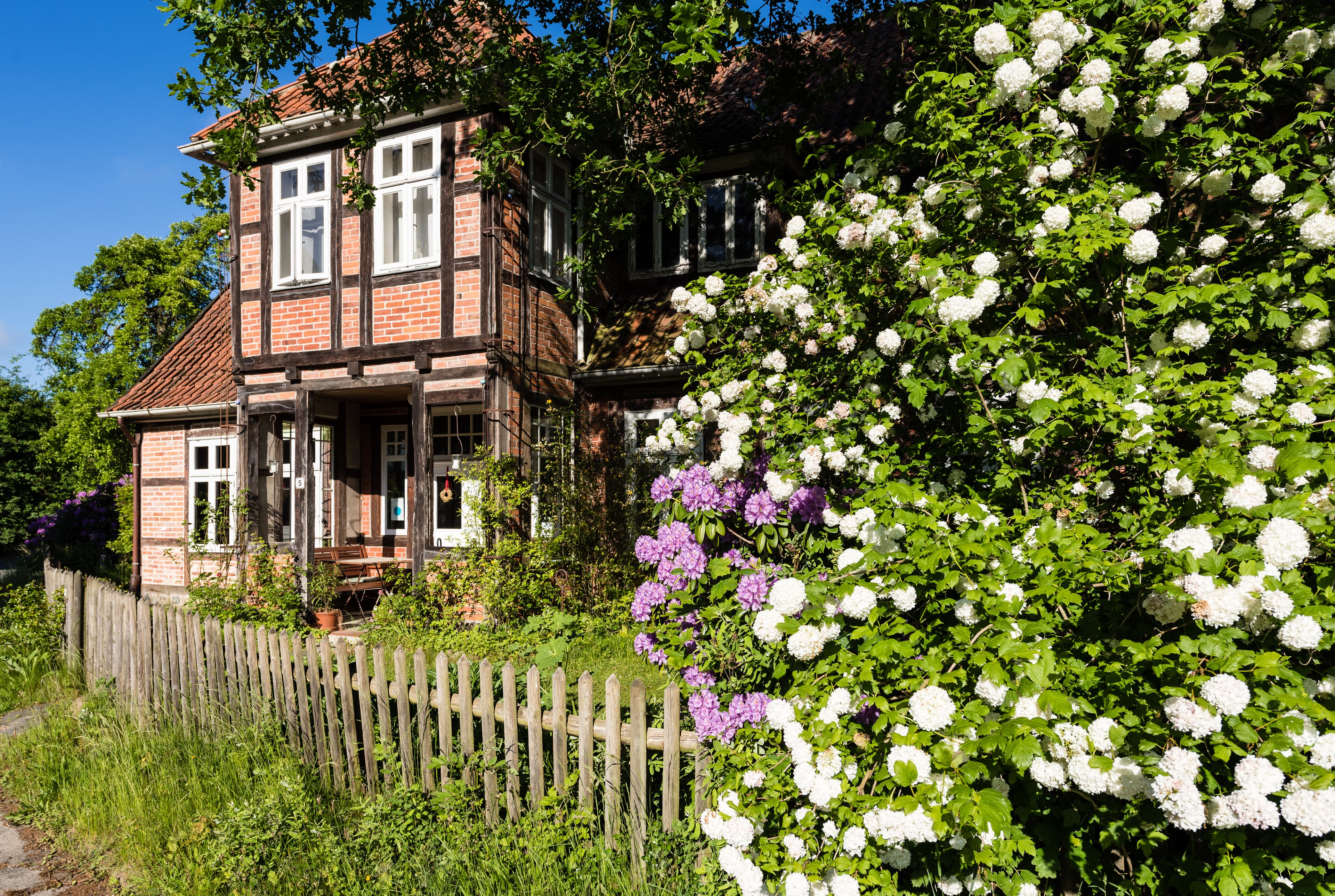 Spätsommer Touren durch die Heide