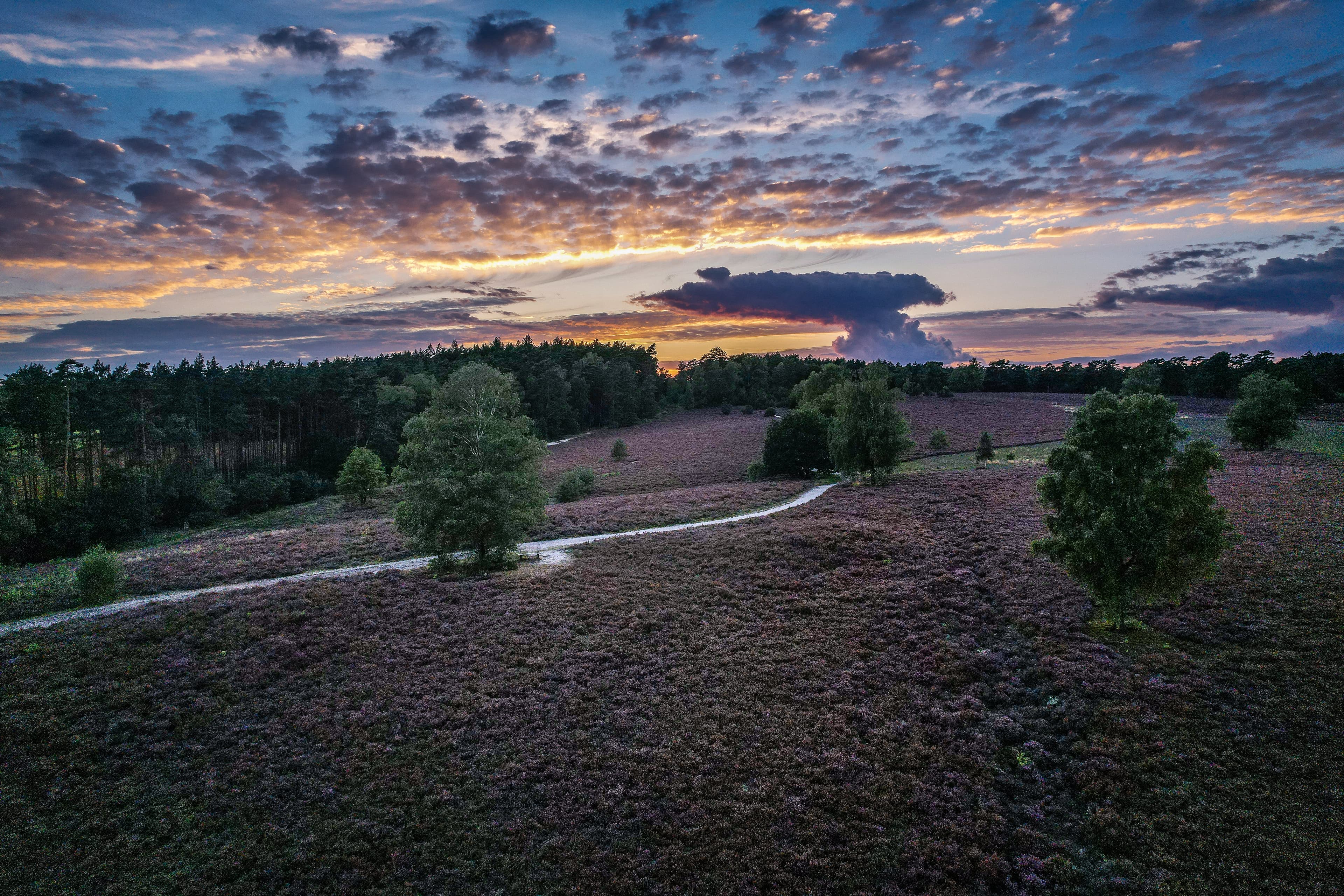 Sonnenuntergang am Wietzer Berg