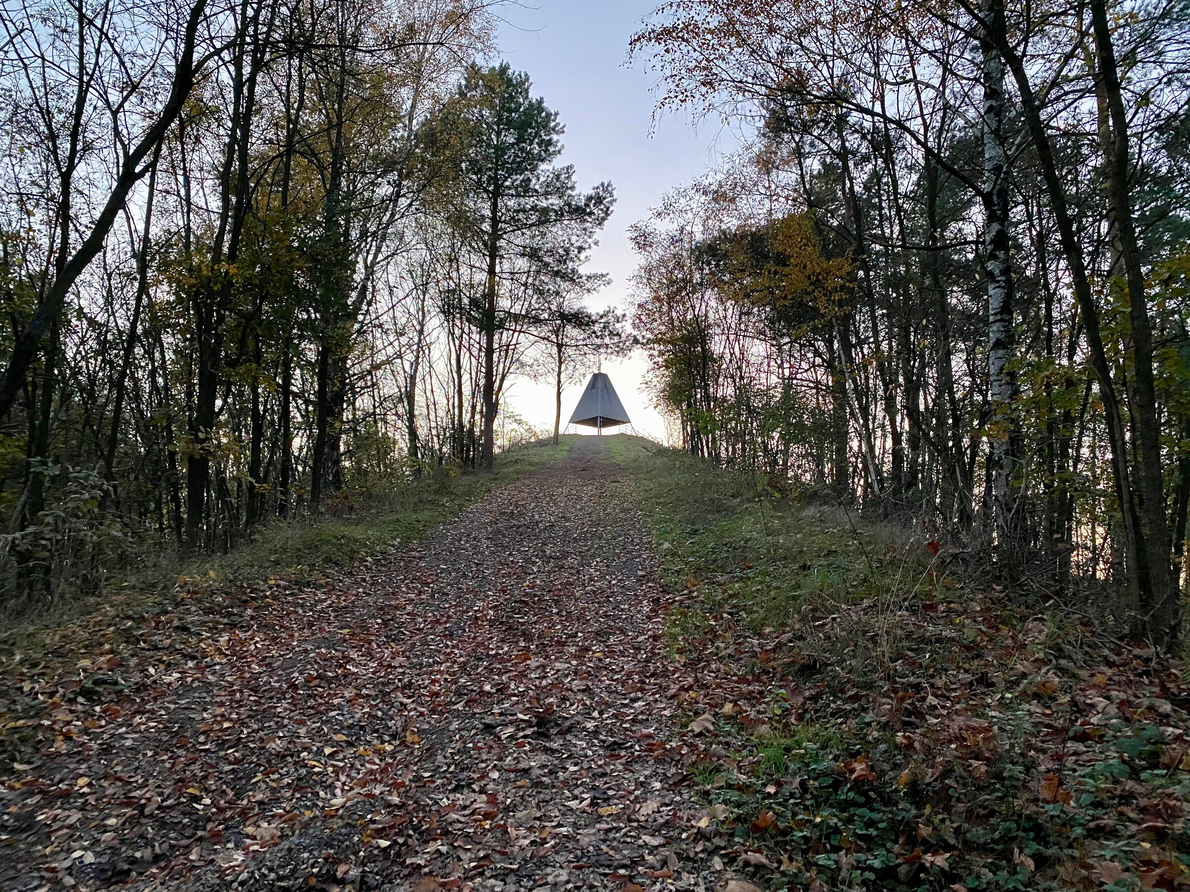 Ölberg von unten