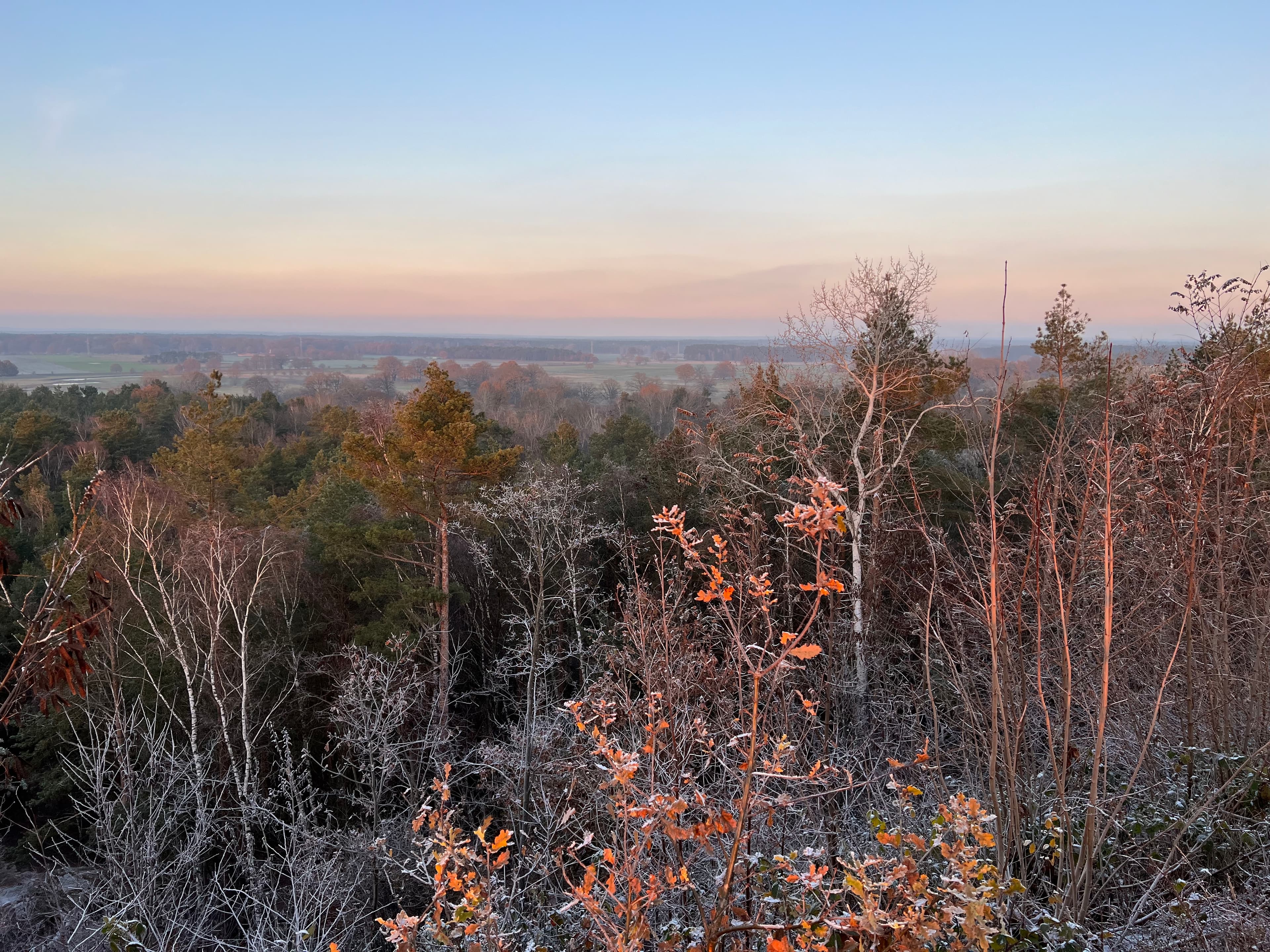 Ölberg im Winter