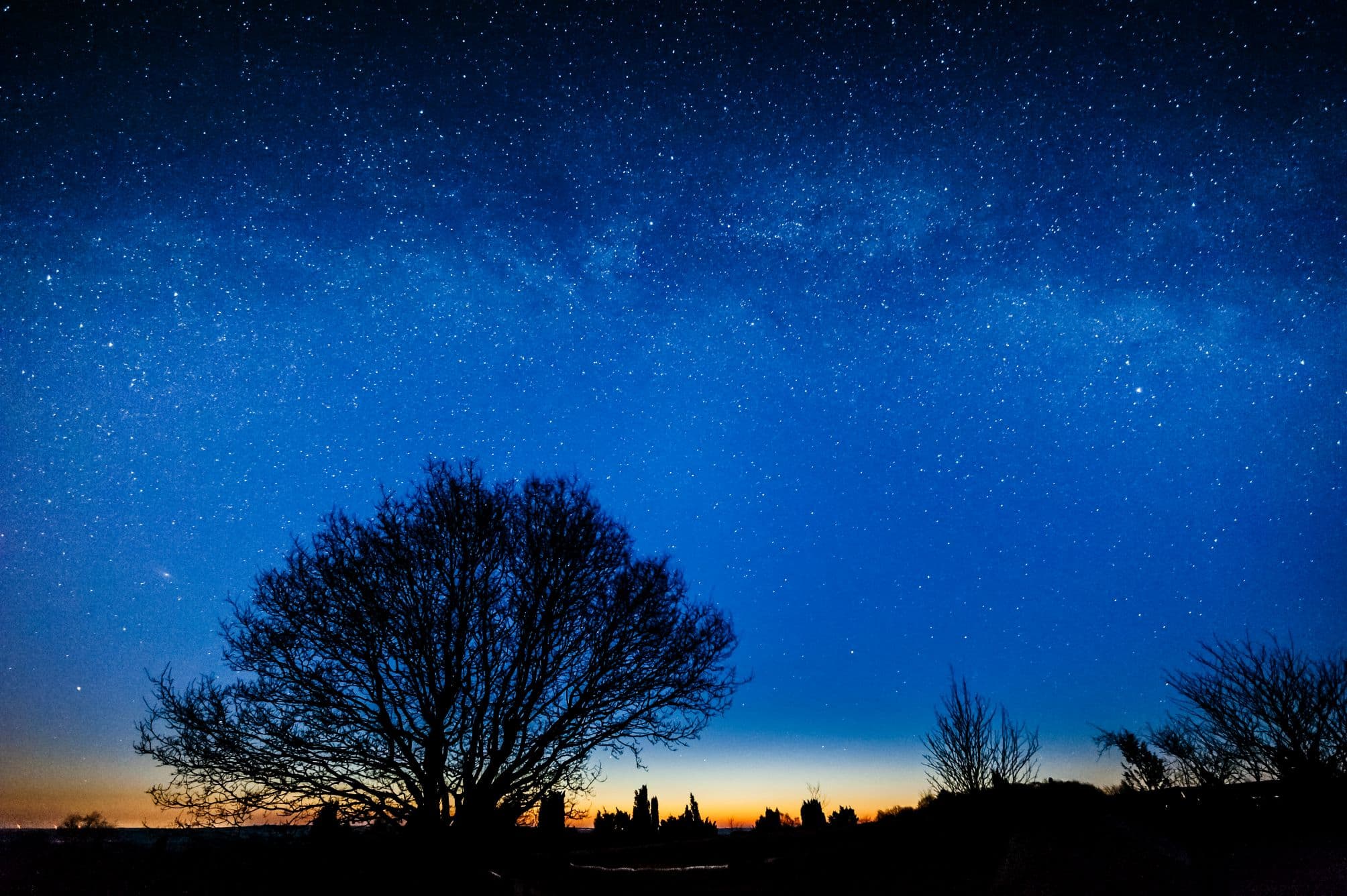 Funkelnder Sternenhimmel über der Lüneburger Heide