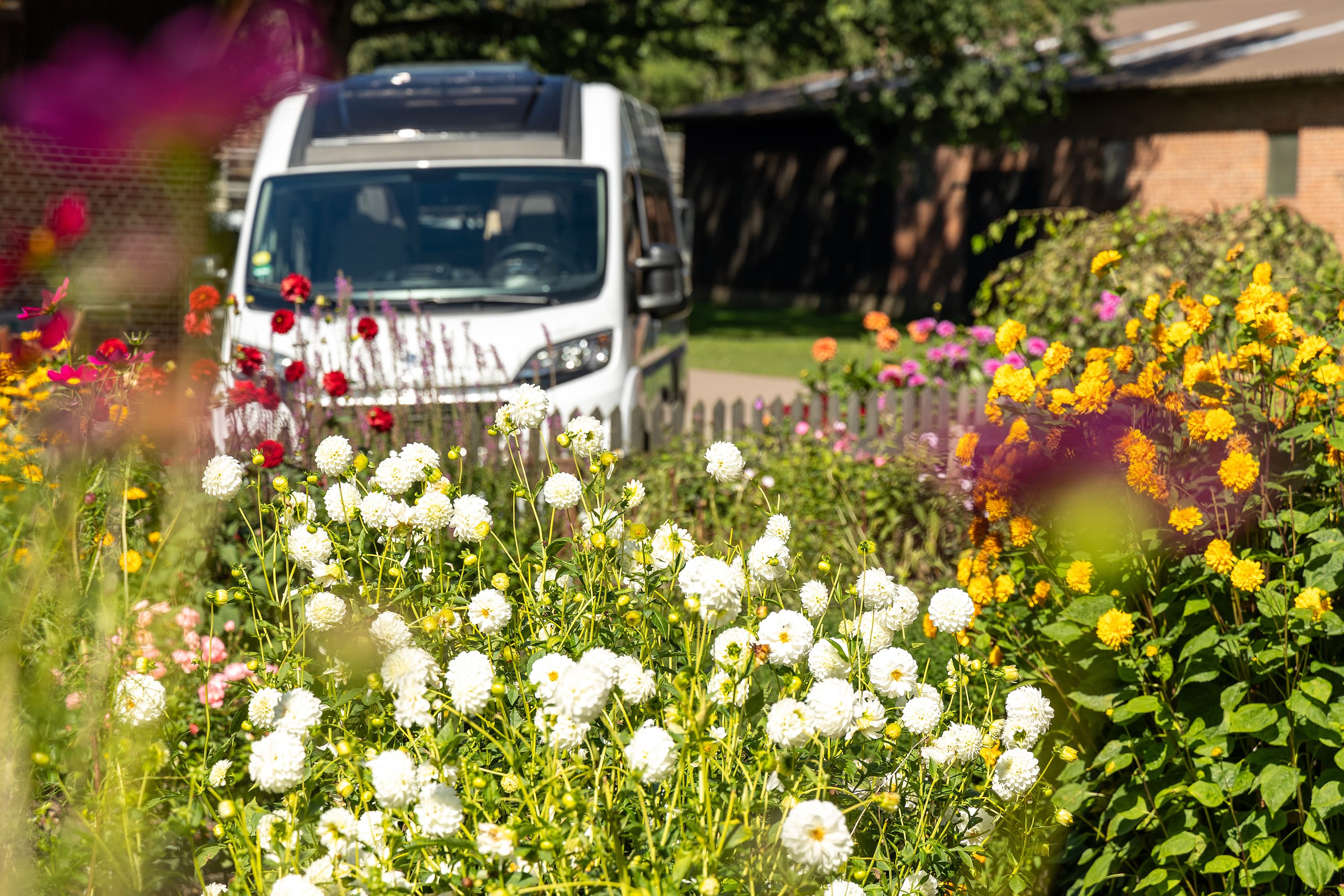 Campingplatz auf dem Bauernhof