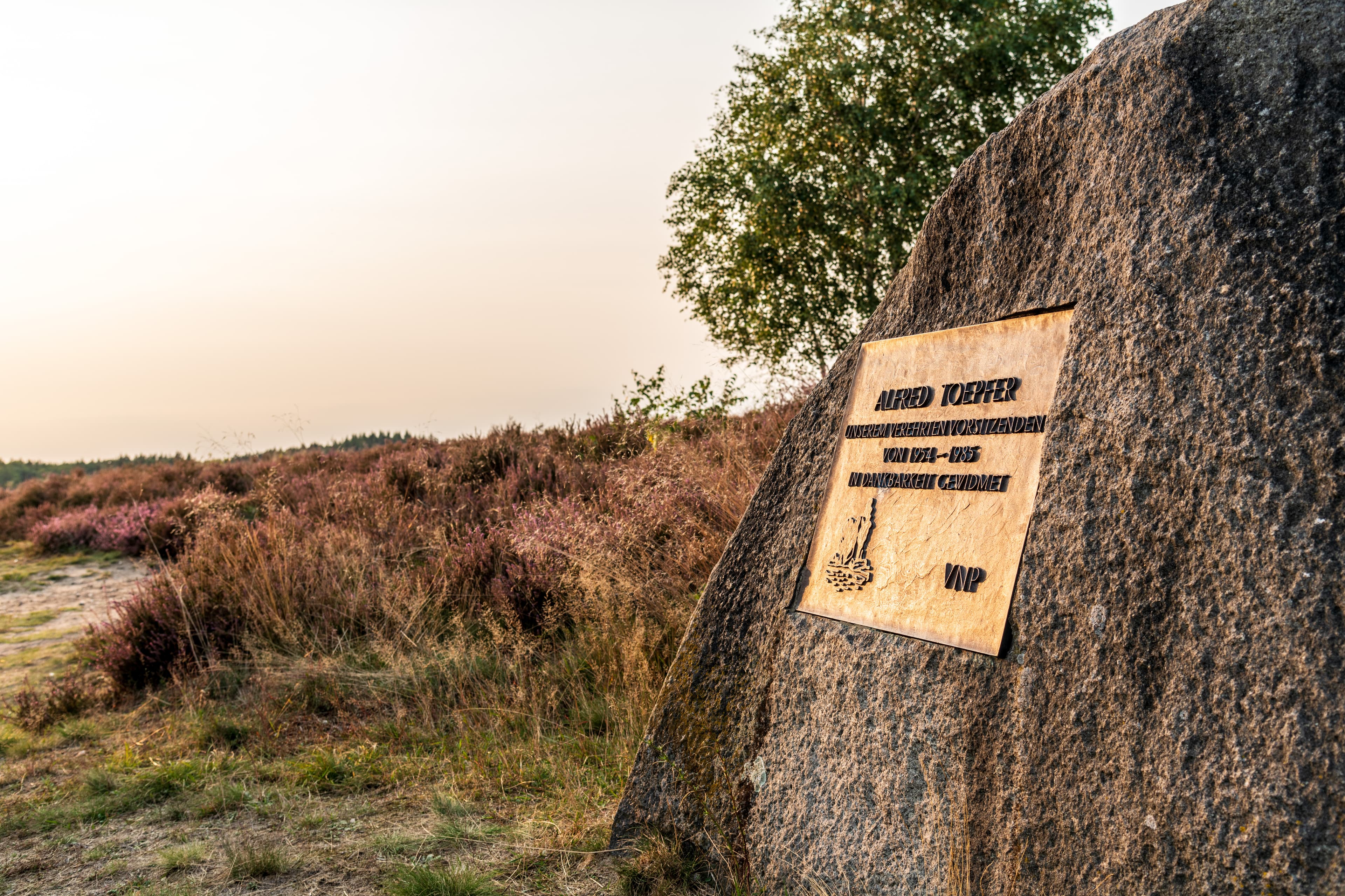 Alfred Toepfer Stein Suhorn Lüneburger Heide