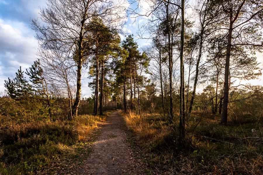 Grundloser See in Walsrode im Herbst