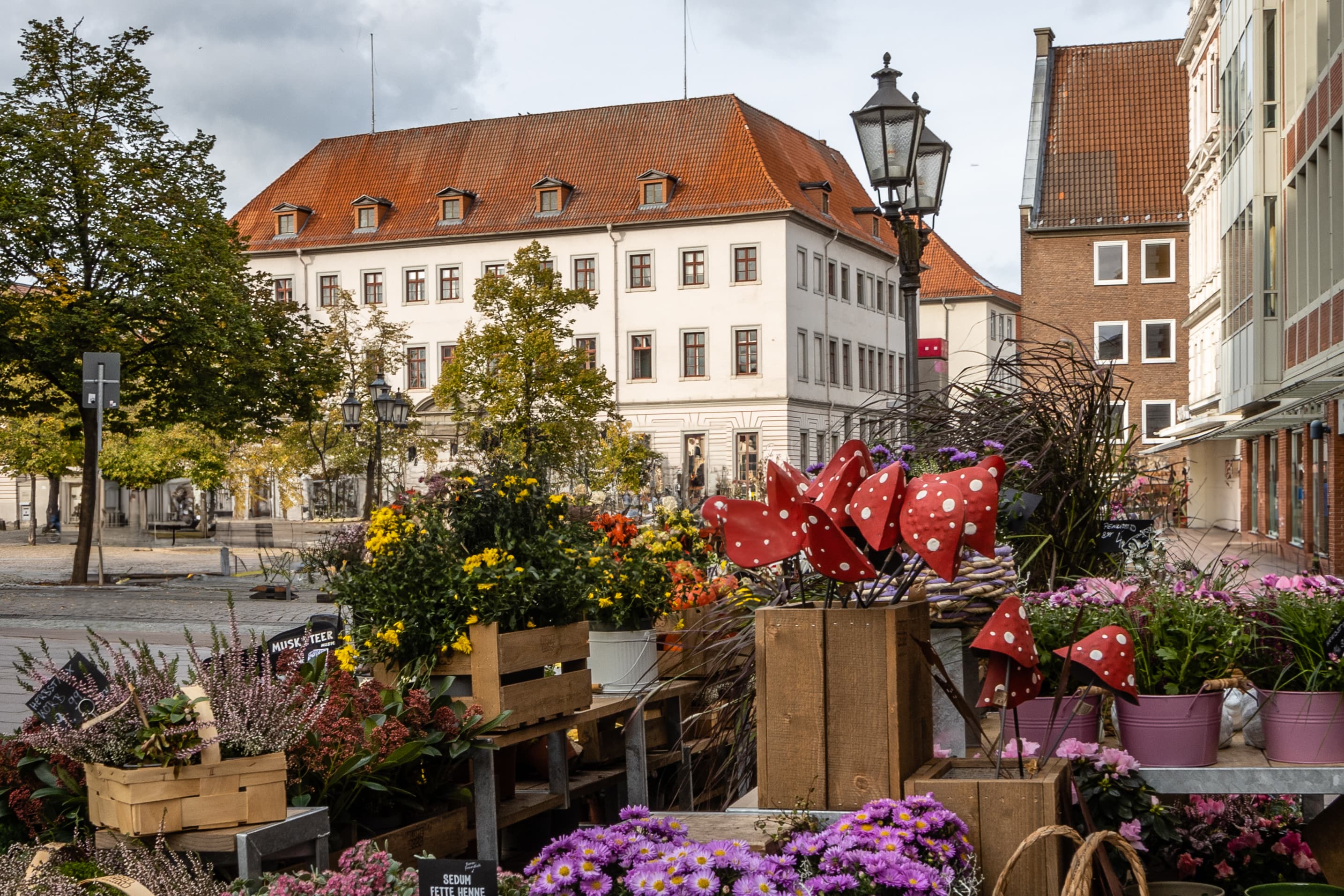 Blick auf Schloss Lüneburg