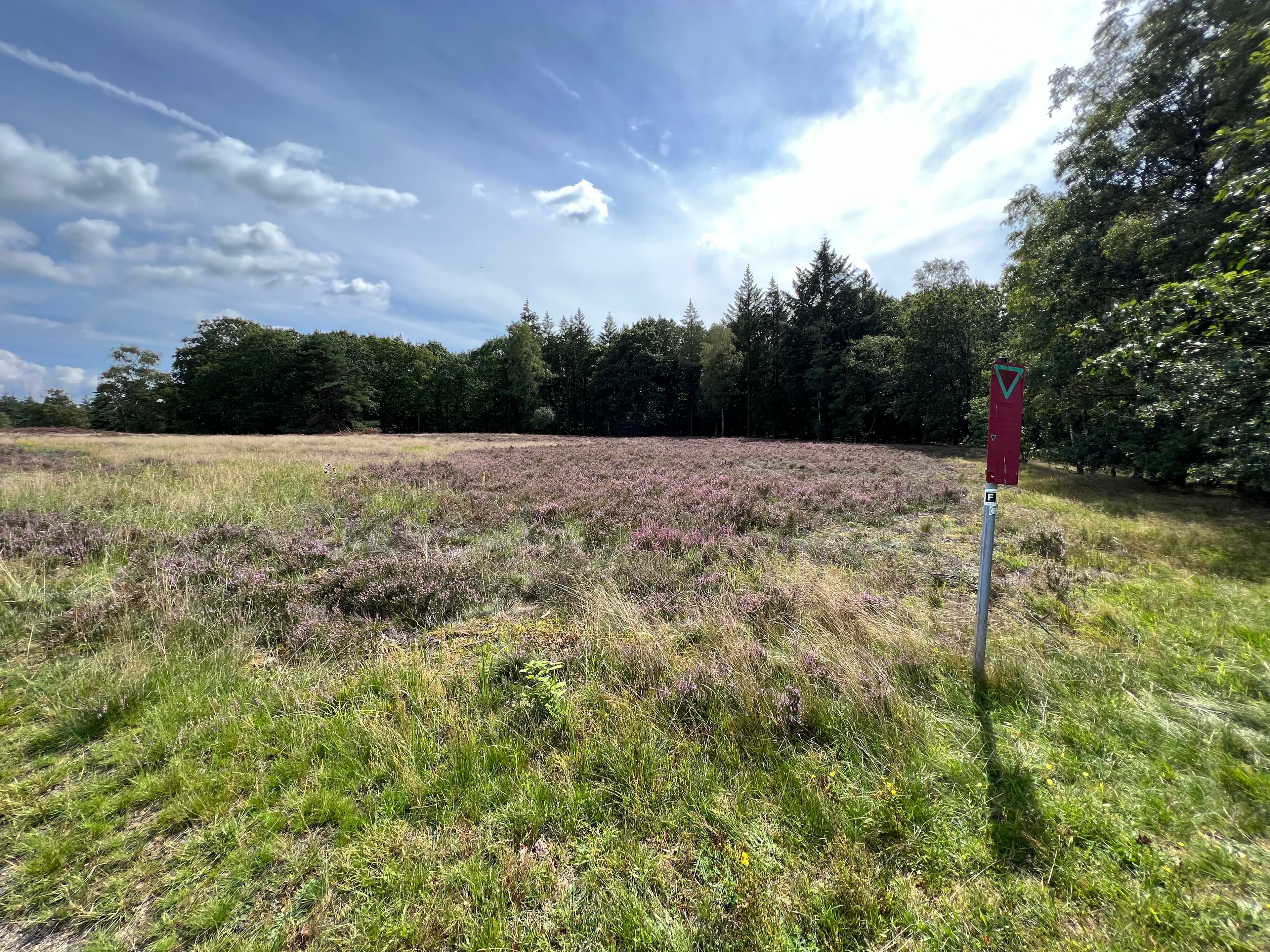 Hügelgräberheide Kirchlinteln am Freudenthalweg Wanderweg