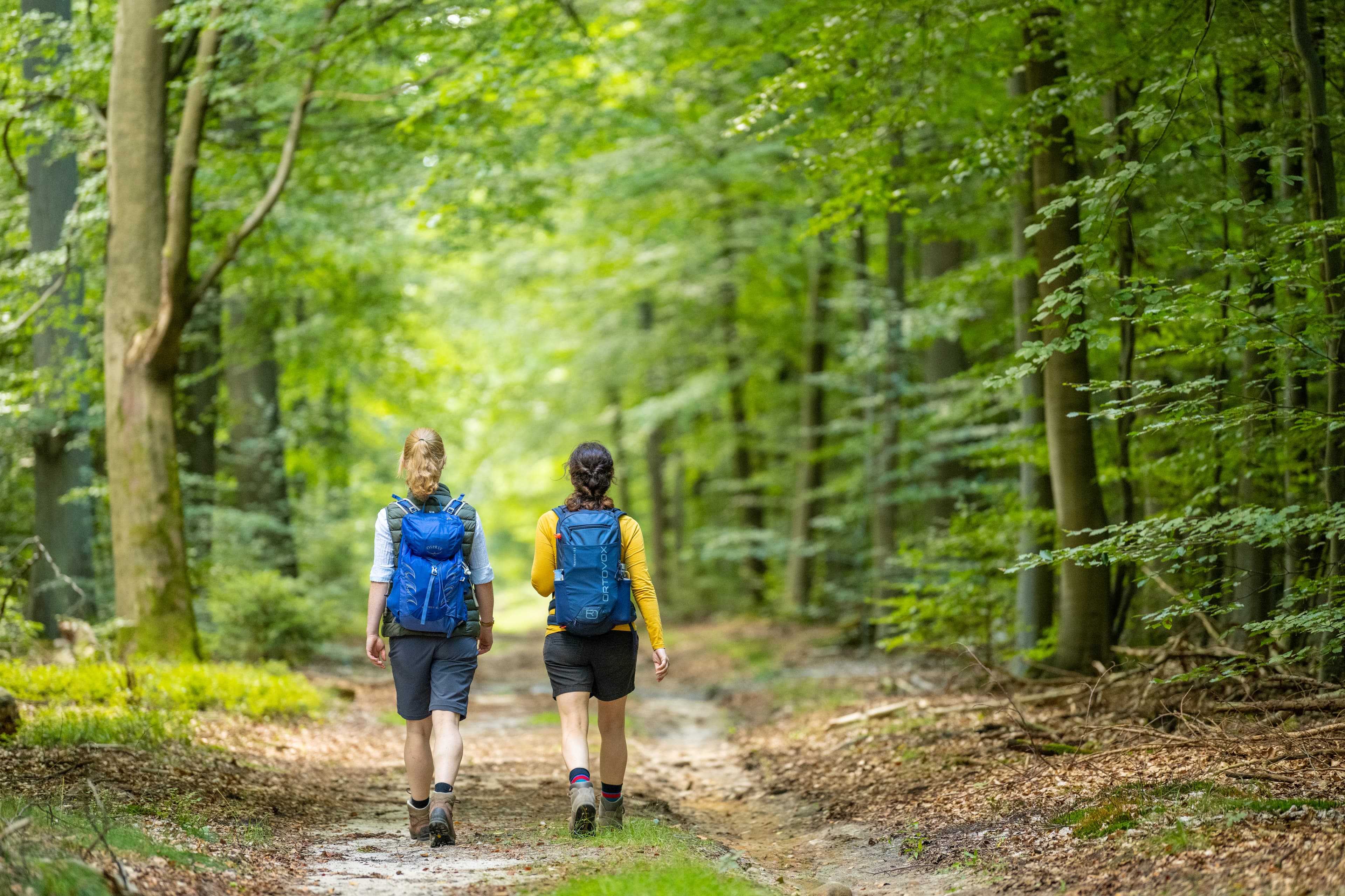 Wandern Unterluess Luesswald