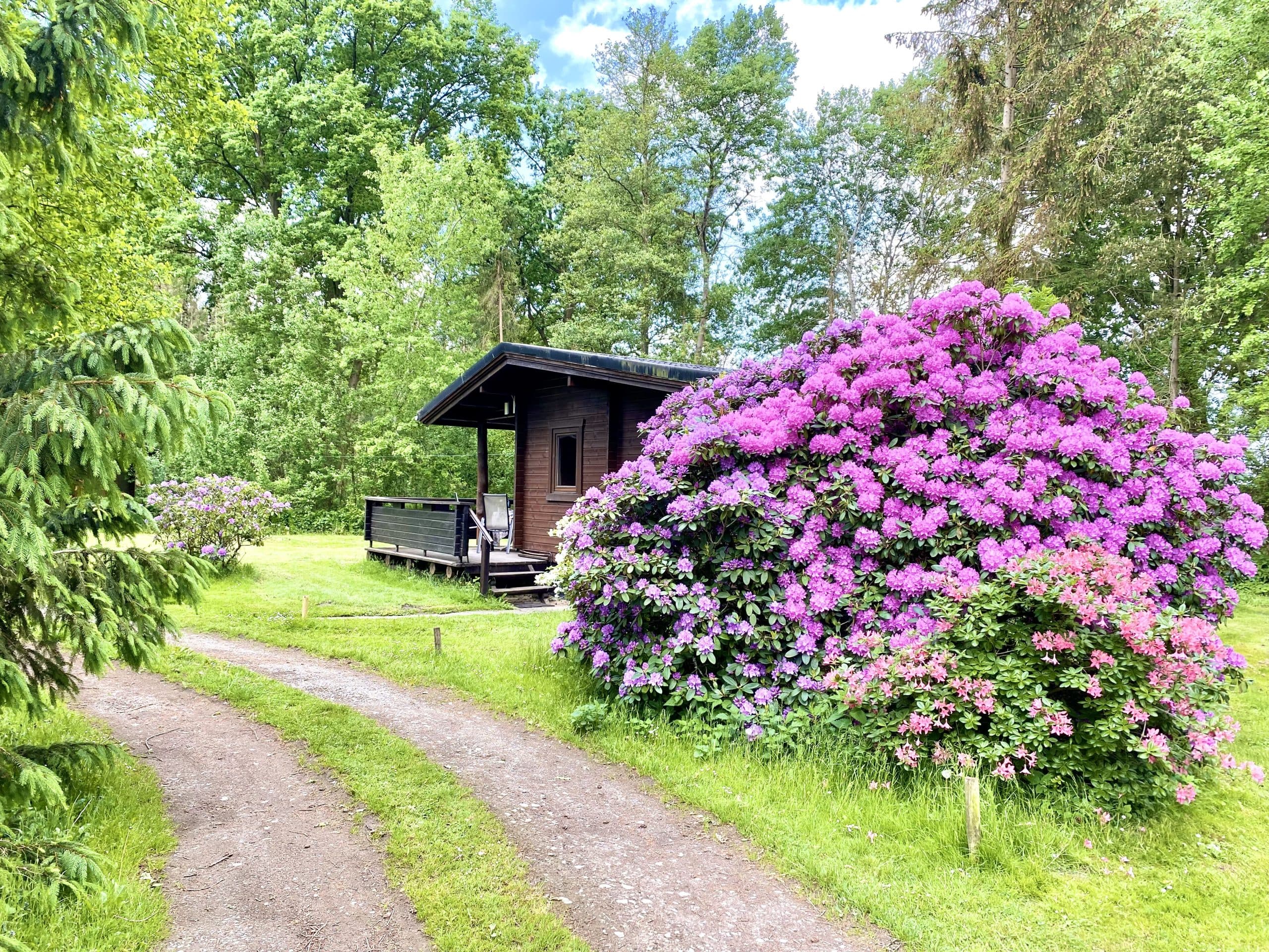 Ferienhaus Hirschbreite Außenansicht