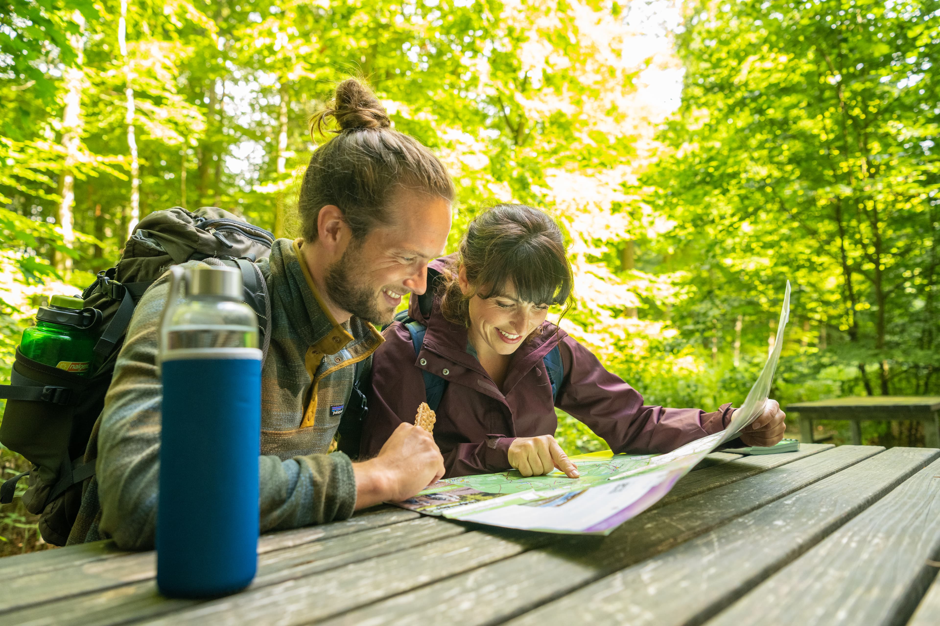 Wandern Hermann Billung Weg Luesswald
