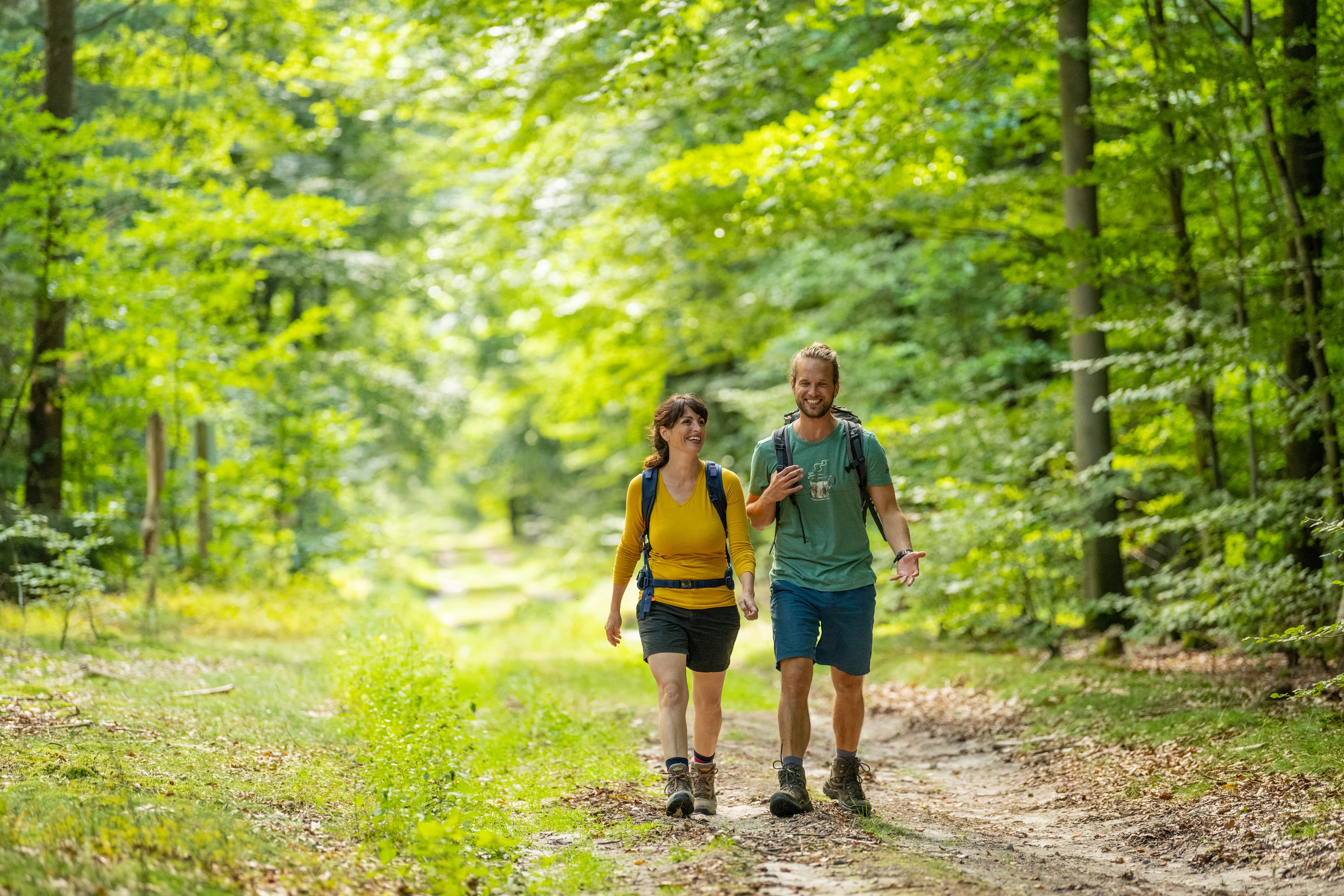Wandern Unterluess Luesswald