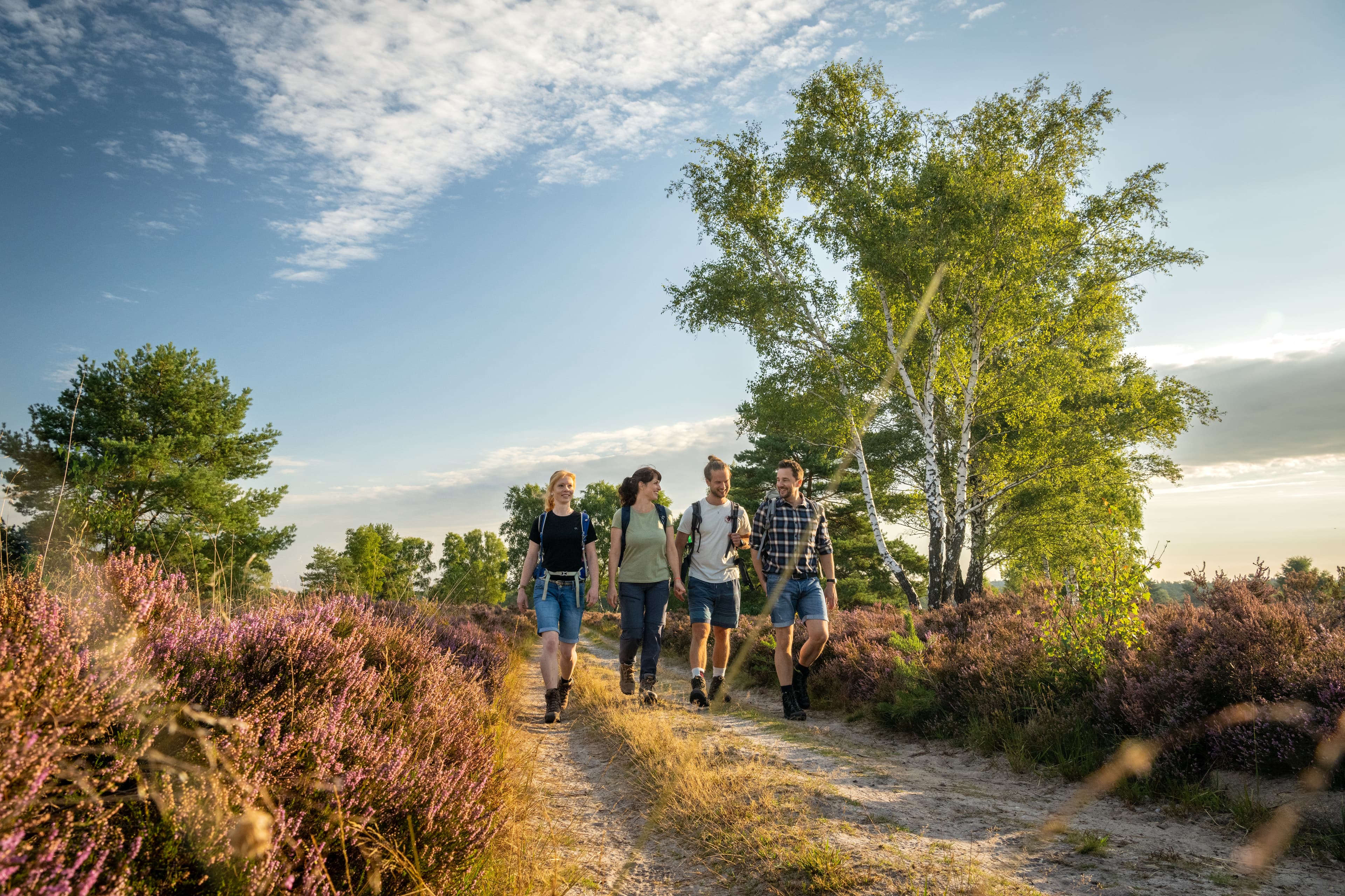 Hanstedt Toeps Heide Wandern