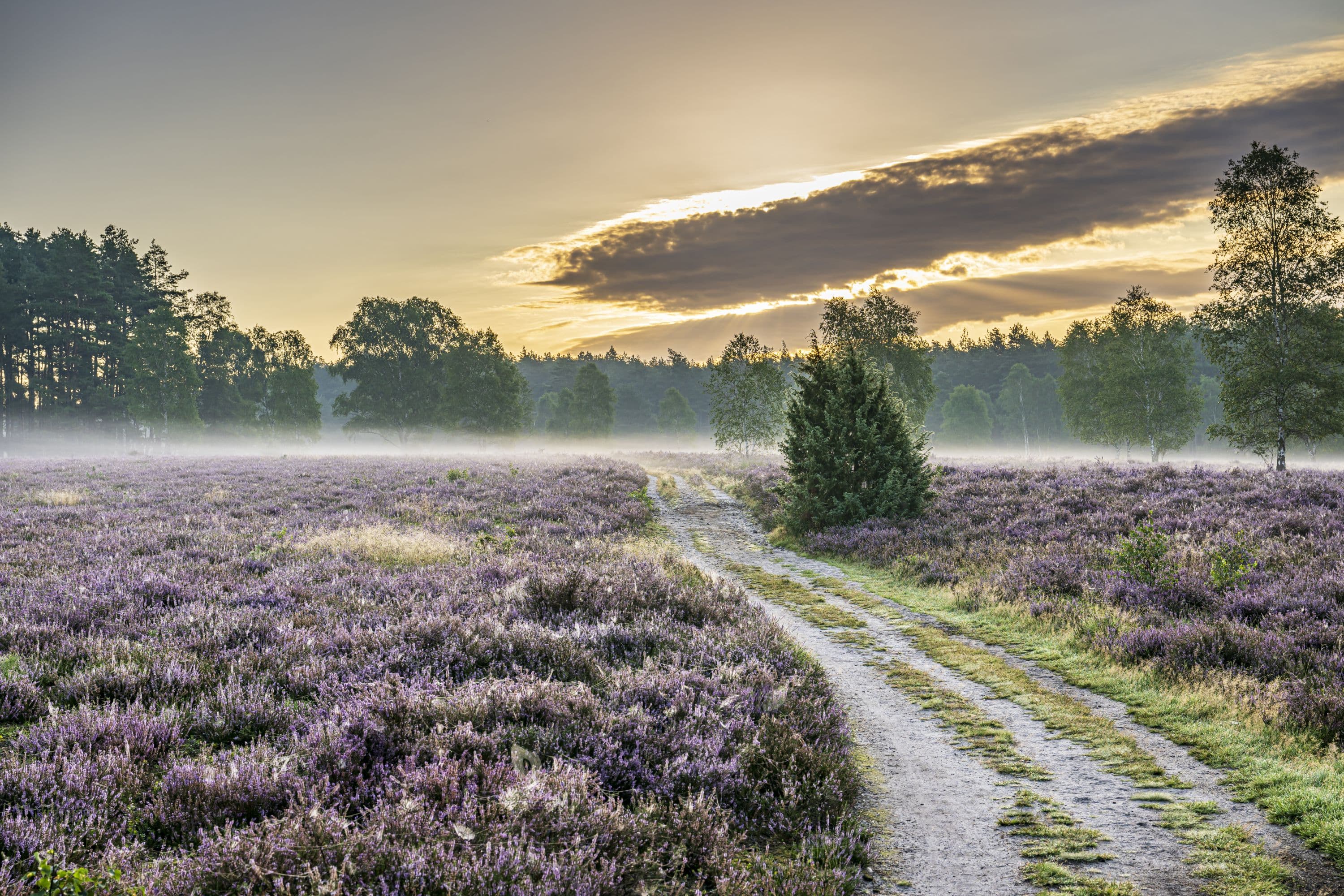 Wandern am Tiefental im Sonnenaufgang Heideschleife