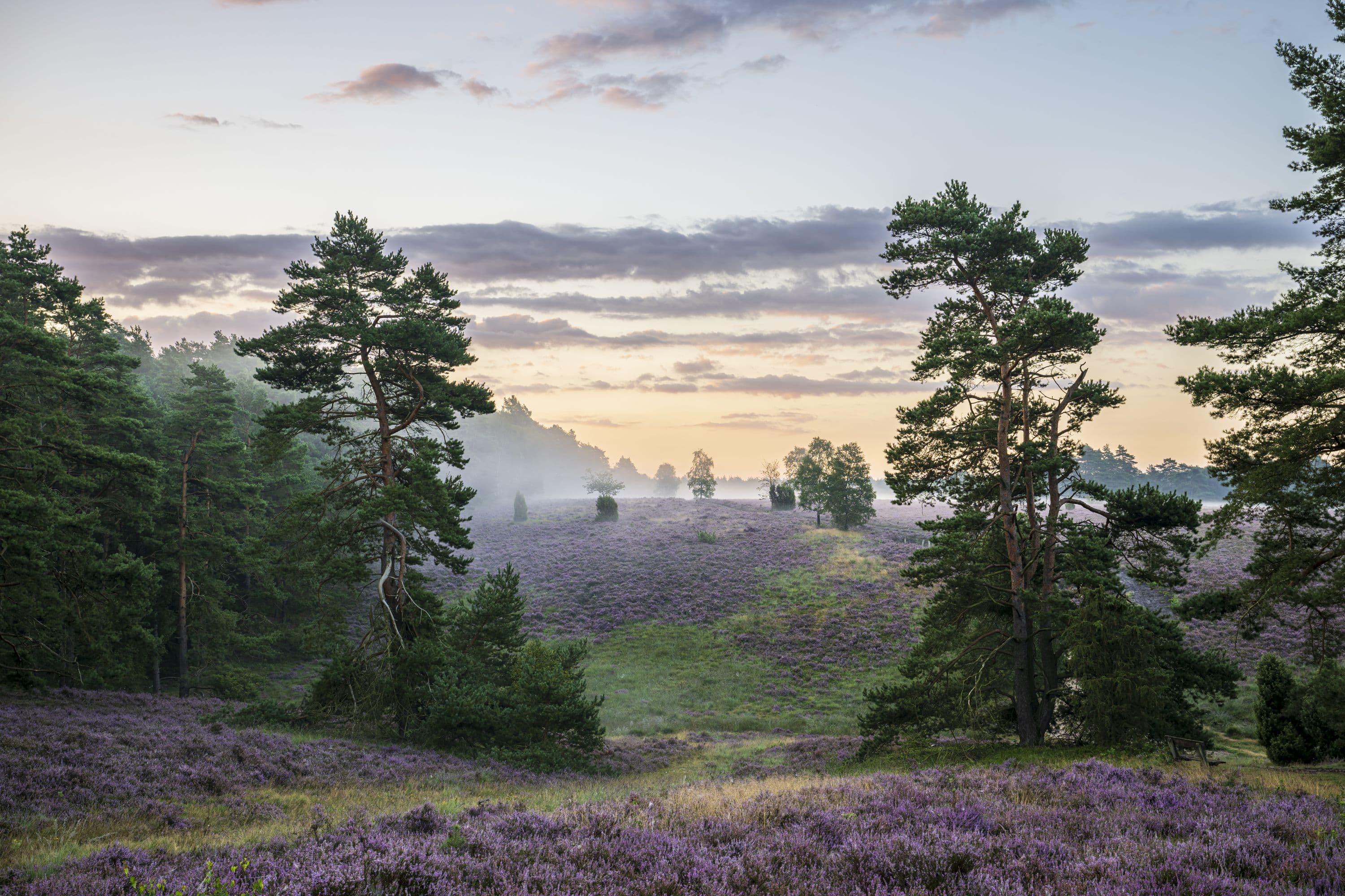 Das Tiefental bei Hermannsburg im Sonnenaufgang