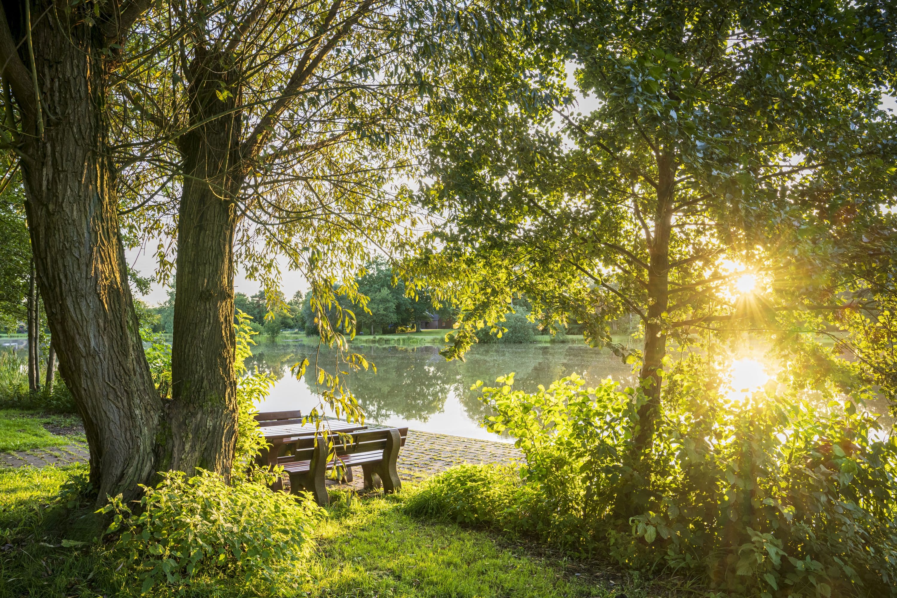 Picknickplatz am Heidesee