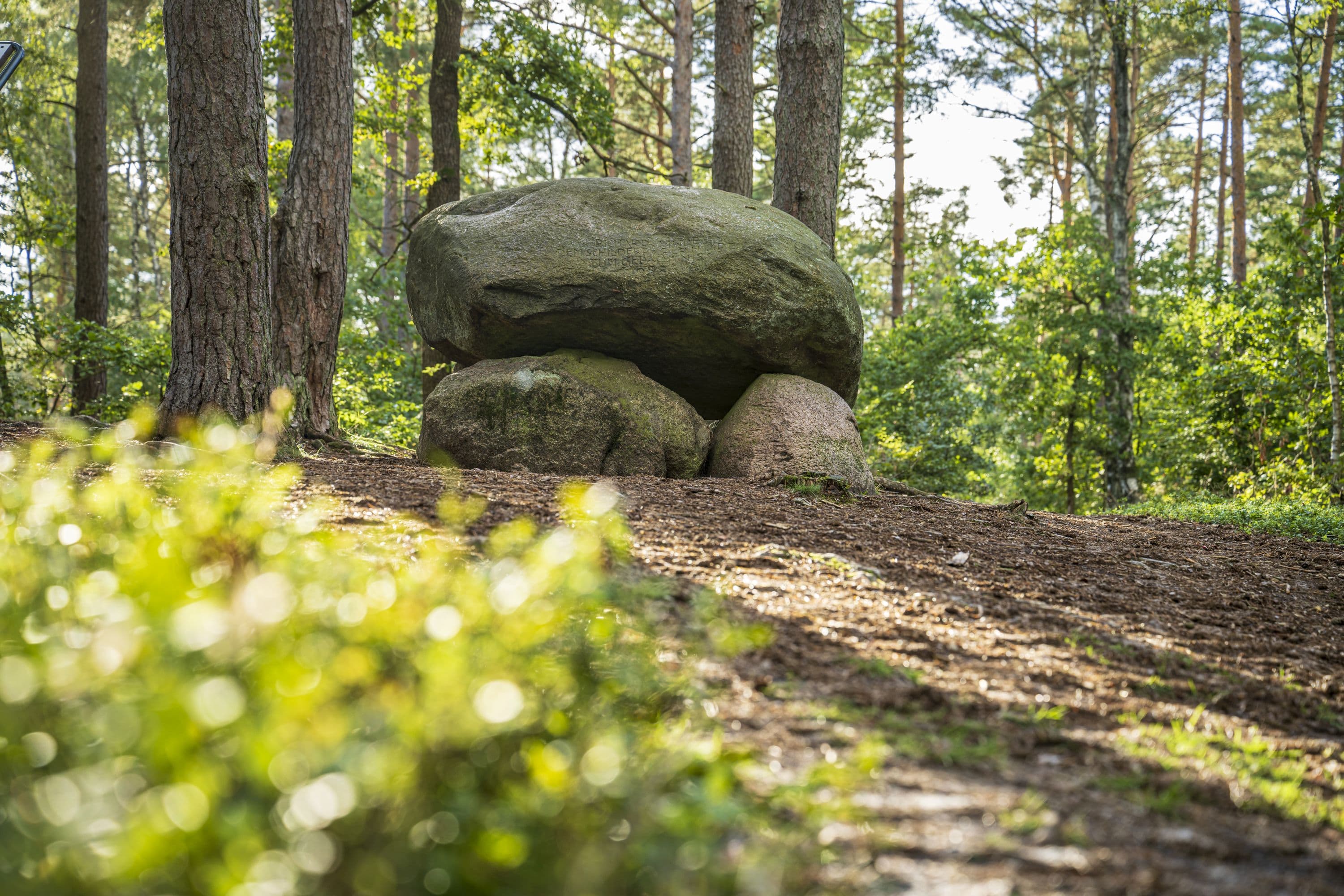 wandern durch den wald auf der Heideschleife müden